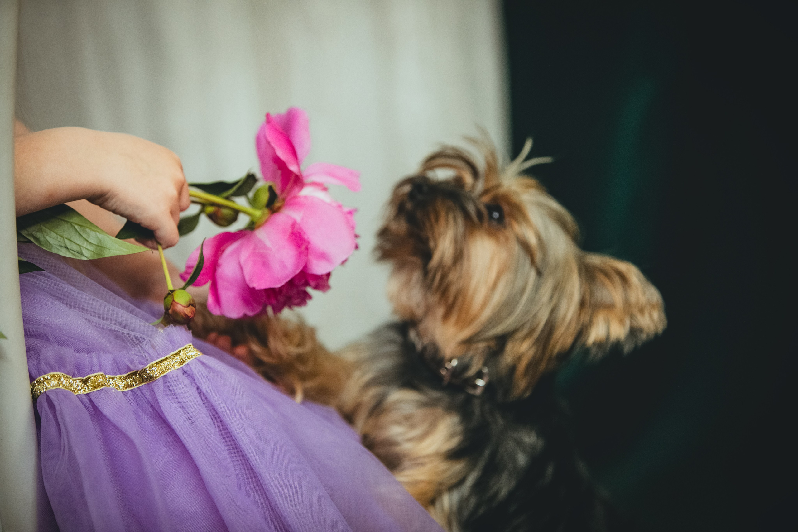 Портреты. Семейный и детский фотограф в Беларуси
