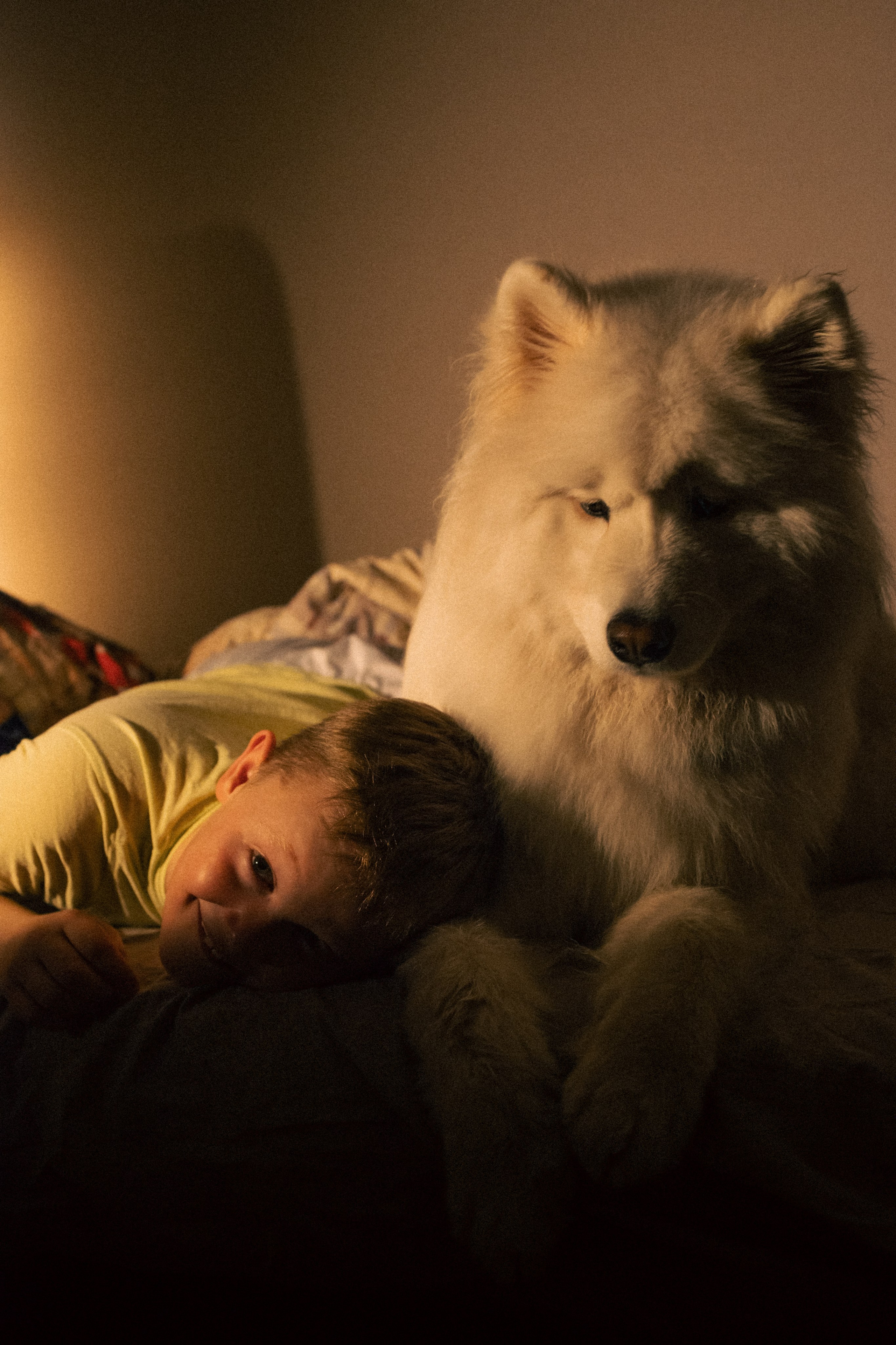 Мальчишки. Фотограф анималист в Москве Майорова Евгения