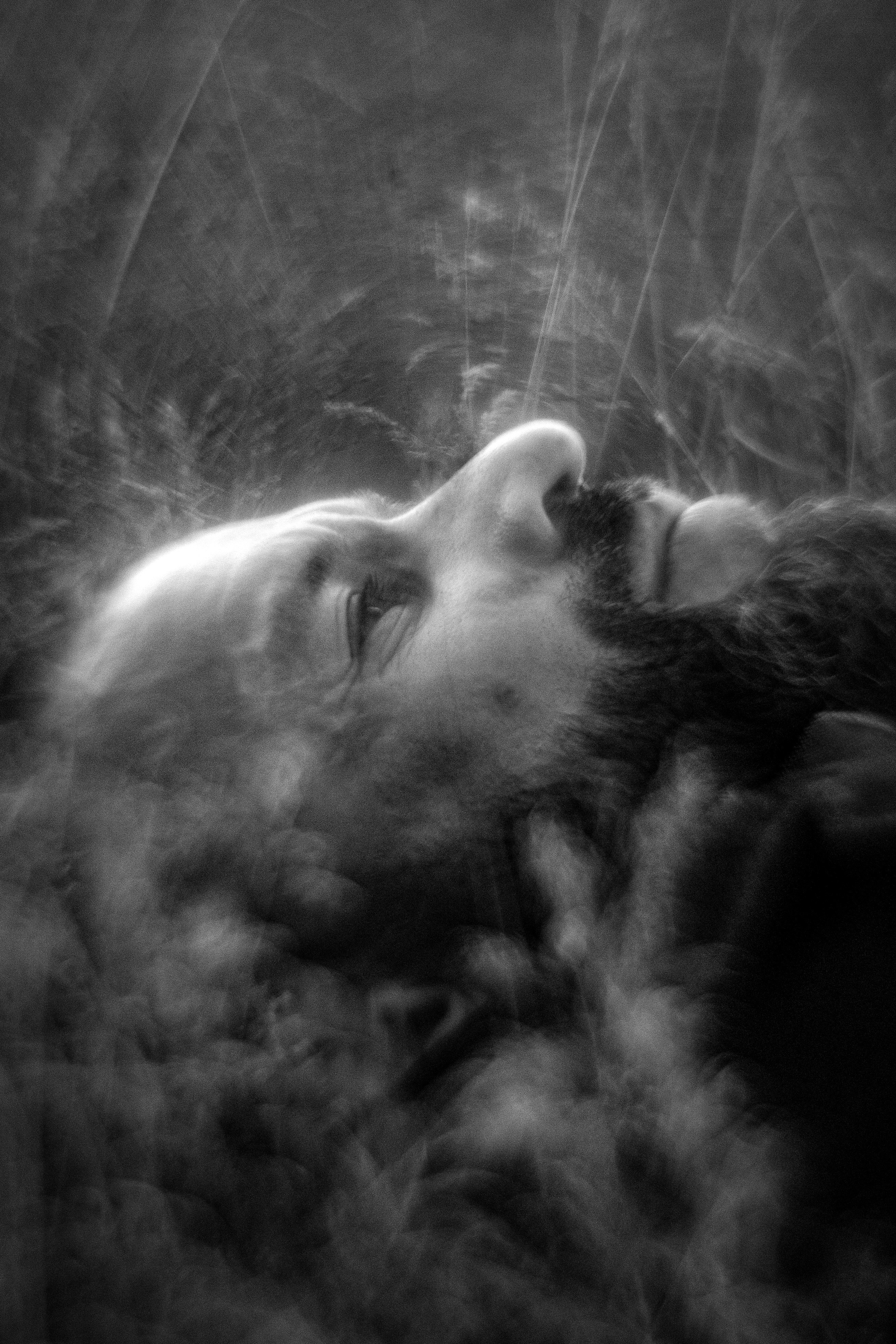 Уличные съёмки. Трандин Иван Фотограф СПб