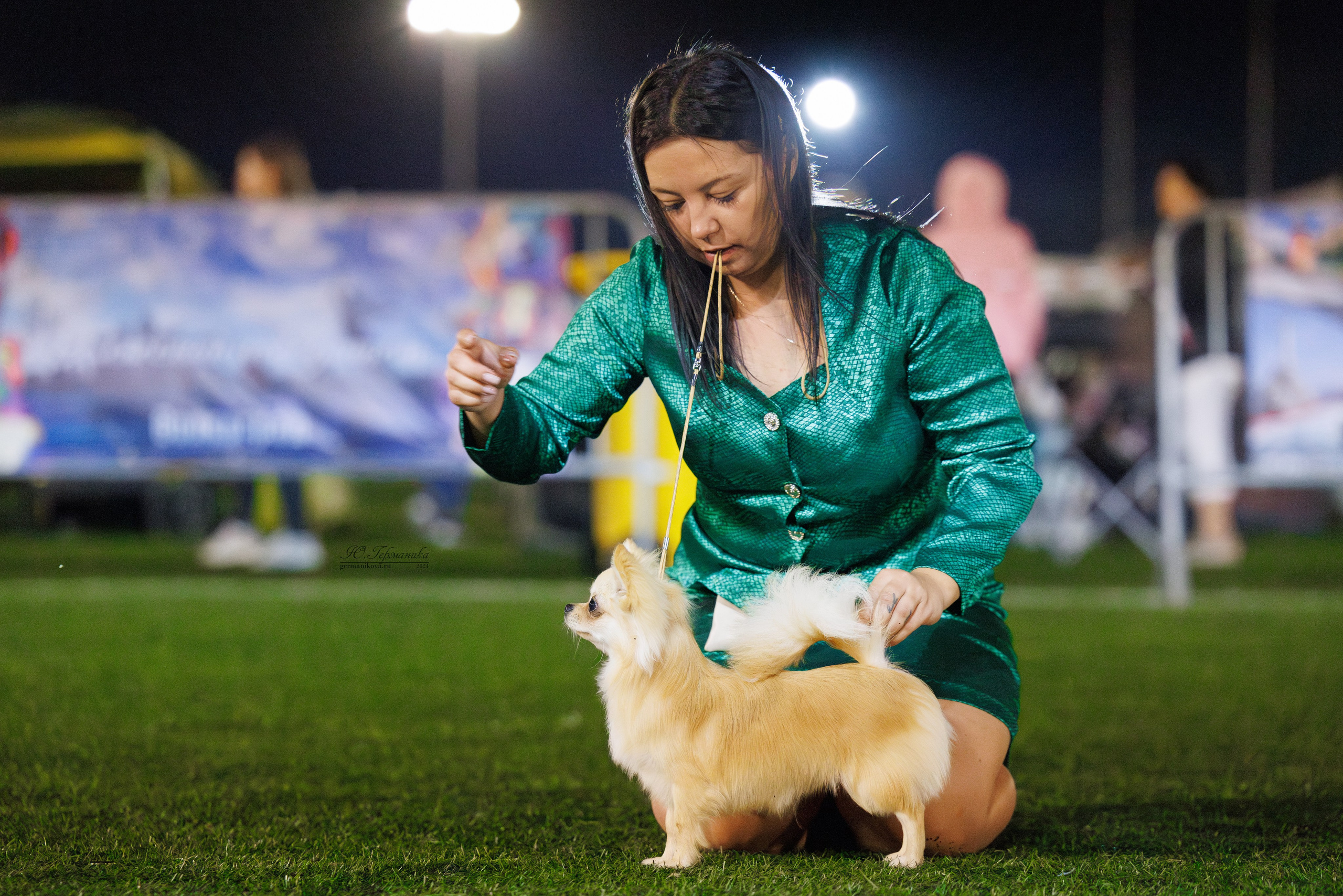 Волгоград 2-4.08.2024. Фотограф-анималист Юлия Германика