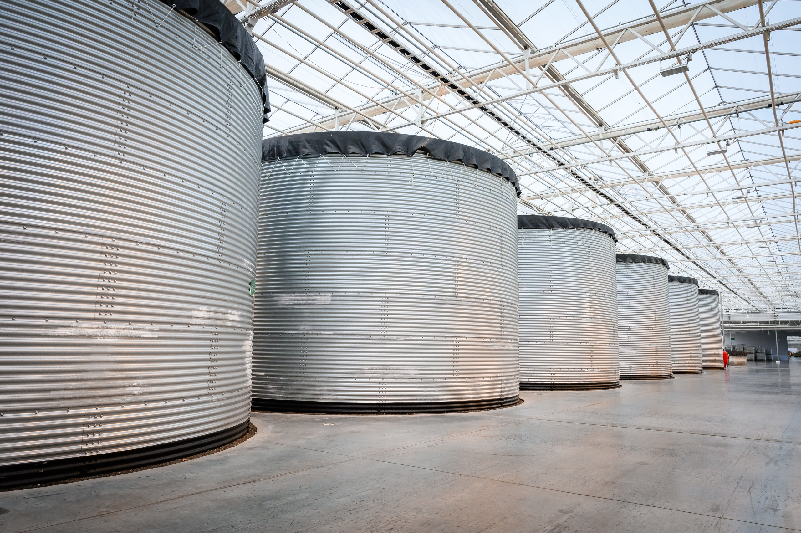 Тепличный комплекс «ПЕРМСКИЙ»