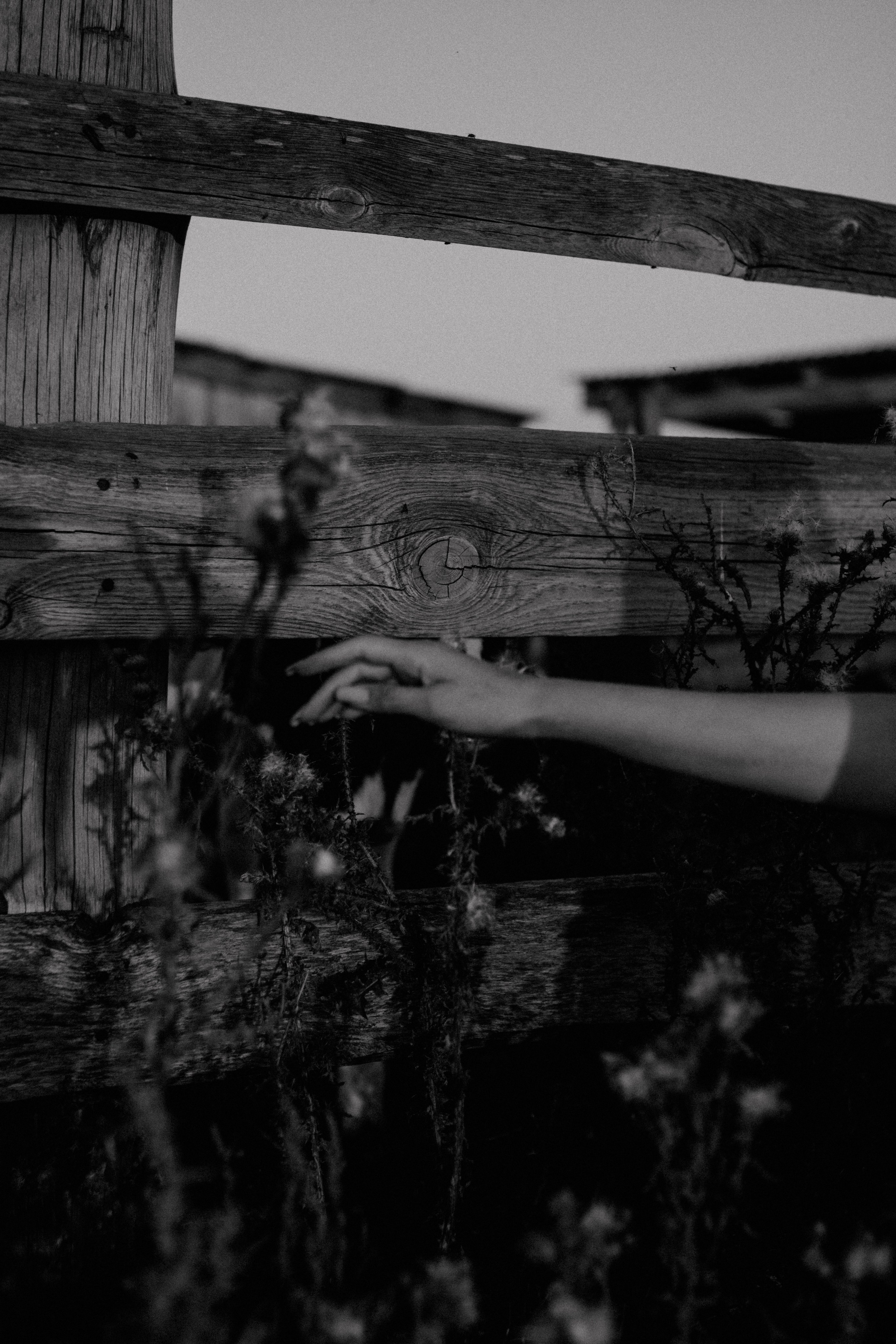 Va. Фотографирую искусство в Хабаровске