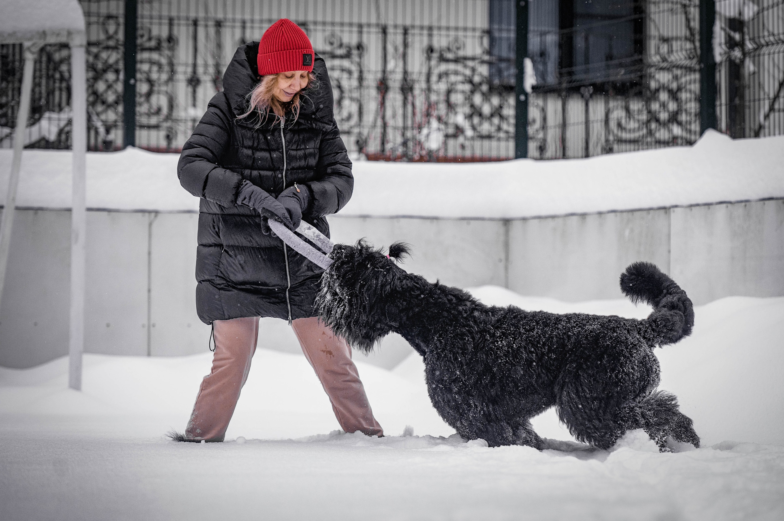 Клео. Фотограф-анималист