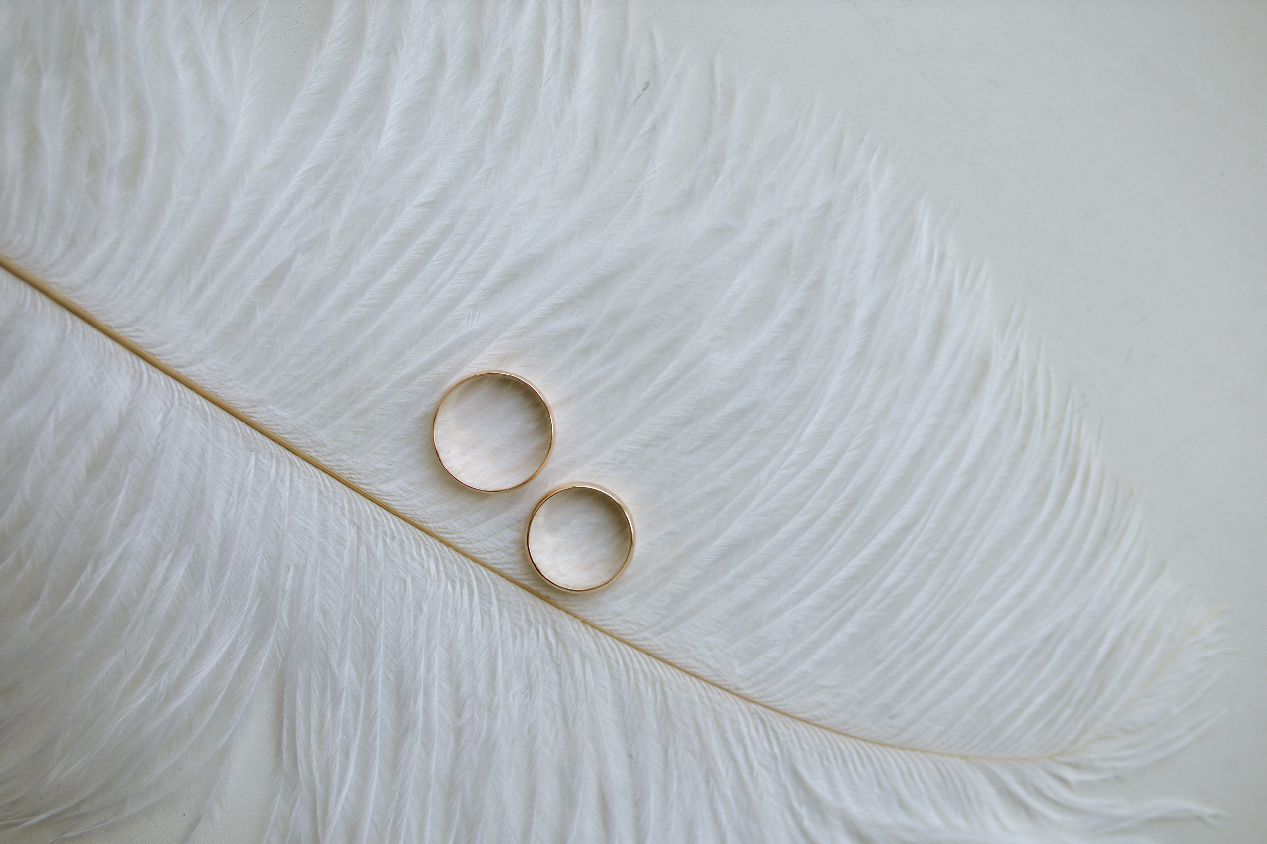 Свадебное портфолио. Фотограф Новокузнецк