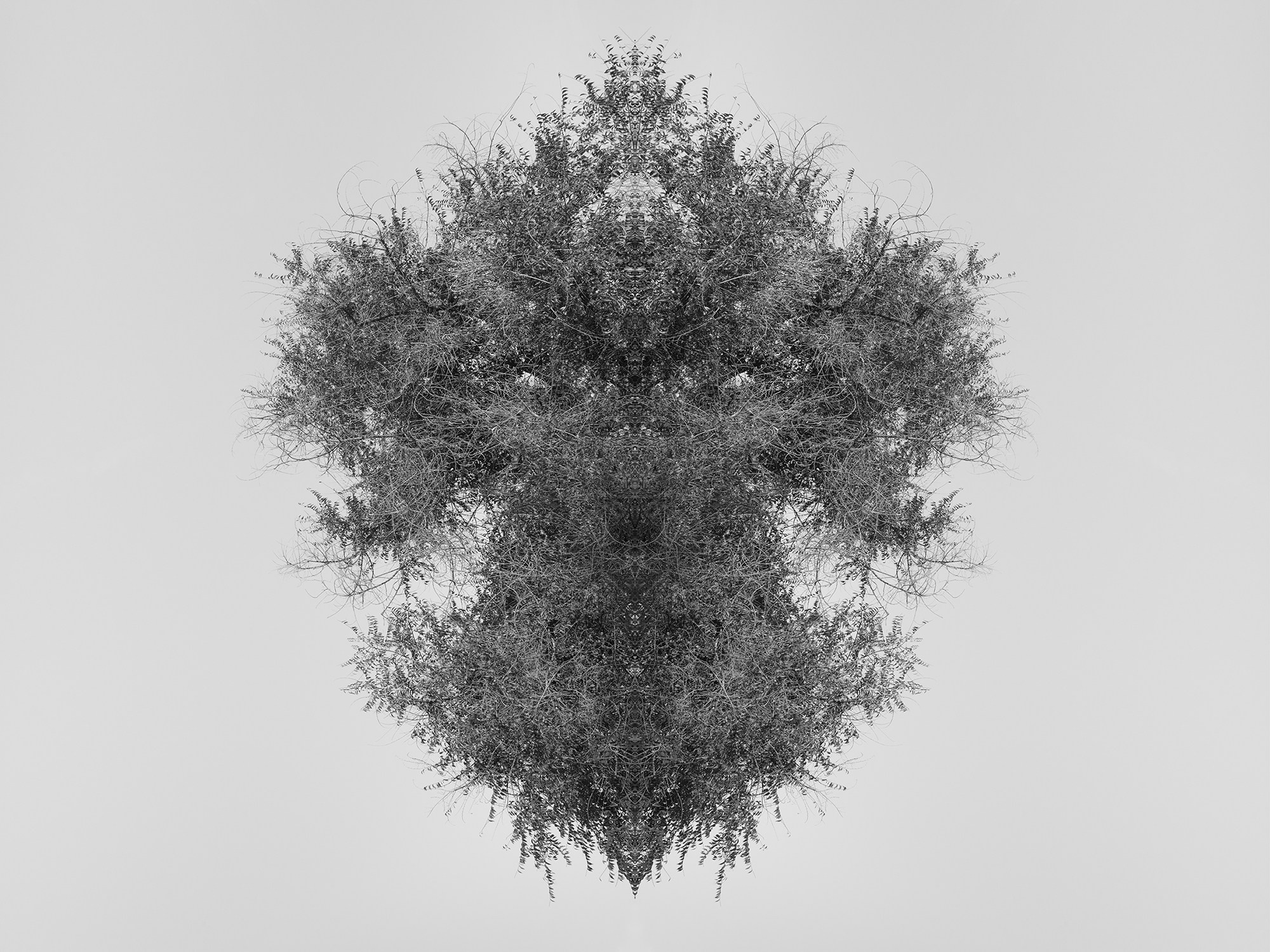 Острова. Анна Порошина — междисциплинарный художник