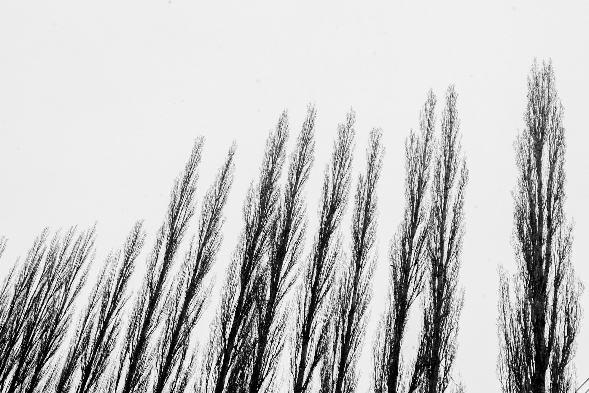 Уфа. Фотопрогулка. Олег Романов. Мастер фото по спорту