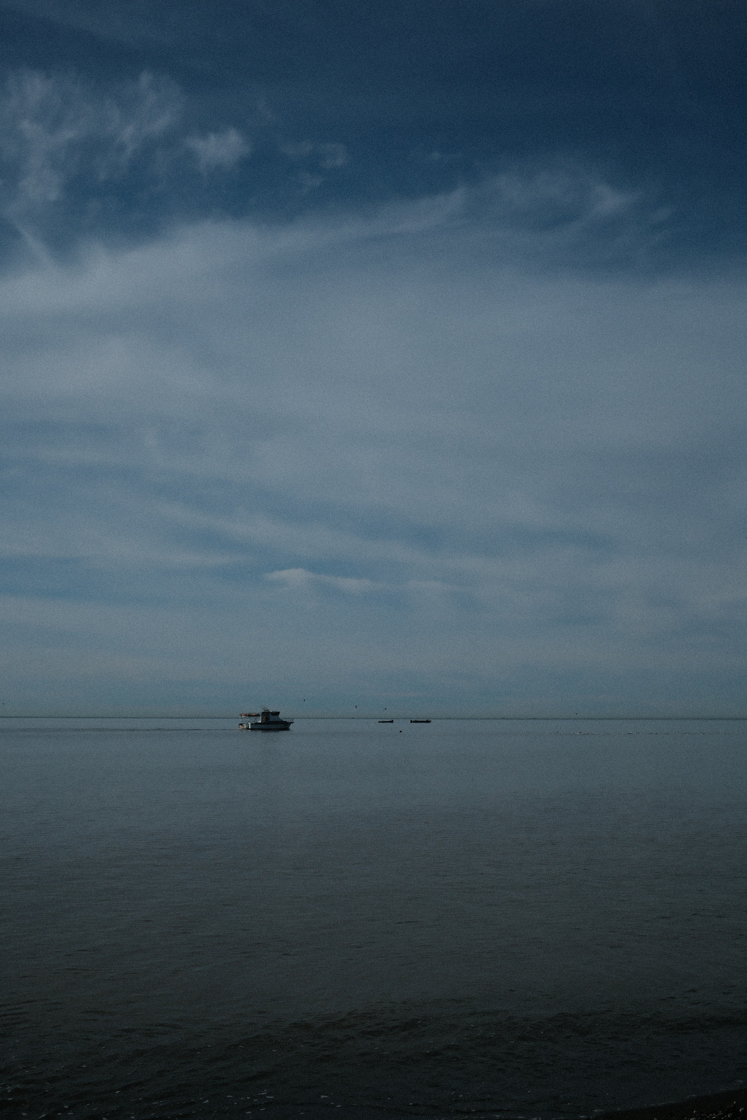 Фотографии зимнего Адлера. Алексей Торопов фотограф