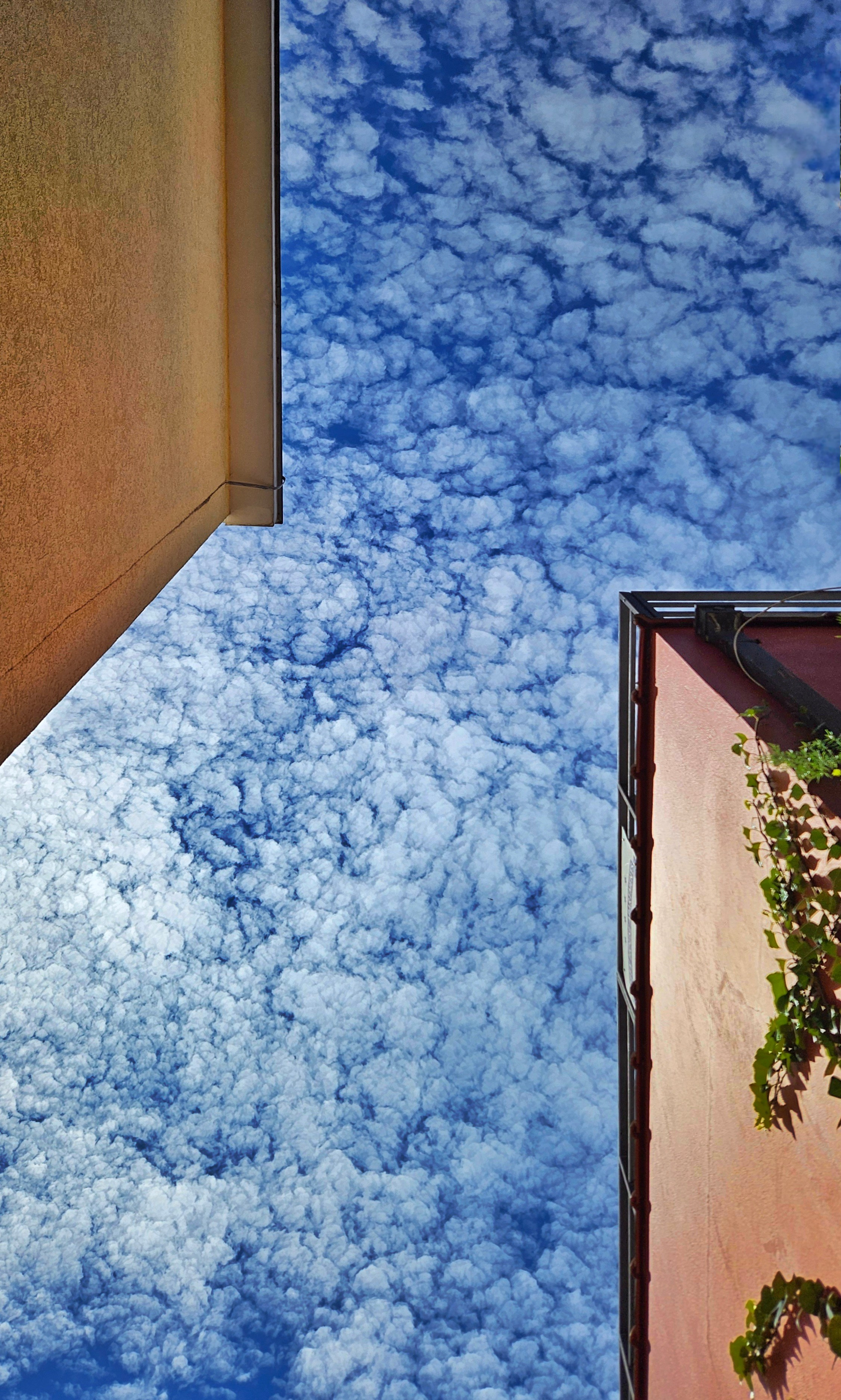 Documentary. Portrait photographer in Tivat Montenegro Katerina Kirsanova