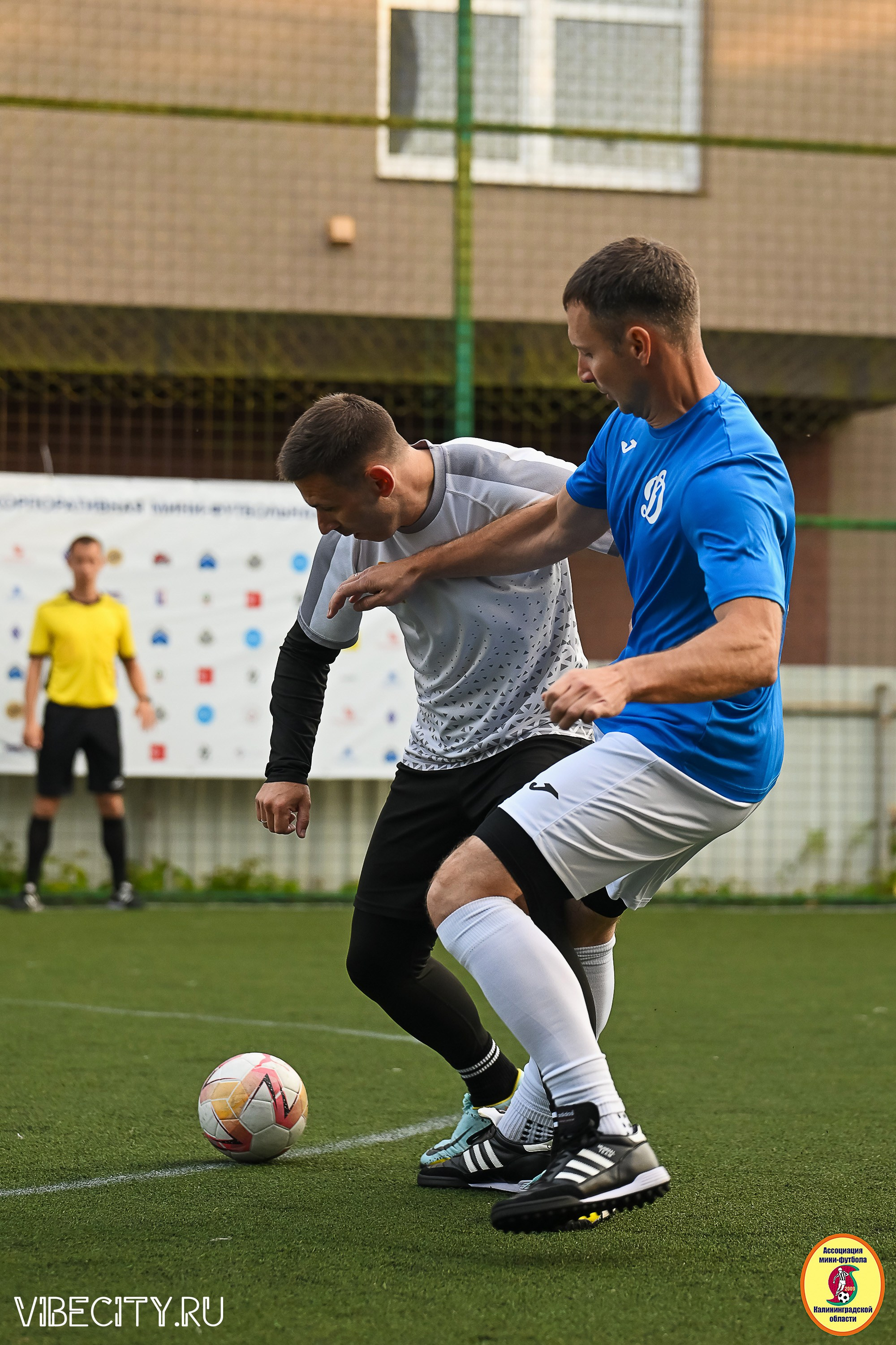ИГРЫ ПЛЕЙ-ОФФ ПЕРВОГО ДИВИЗИОНА МИНИ-ФУТБОЛЬНОЙ ЛИГИ. VIBECITY.RU Вайб Сити Ру Фоторепортажи Фотоотчеты Калининград