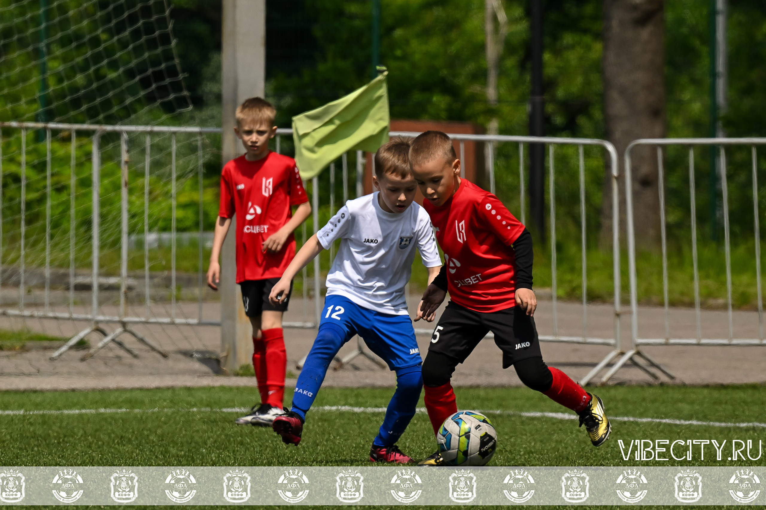 Большие Звезды светят Малым. VIBECITY.RU Вайб Сити Ру Фоторепортажи Фотоотчеты Калининград