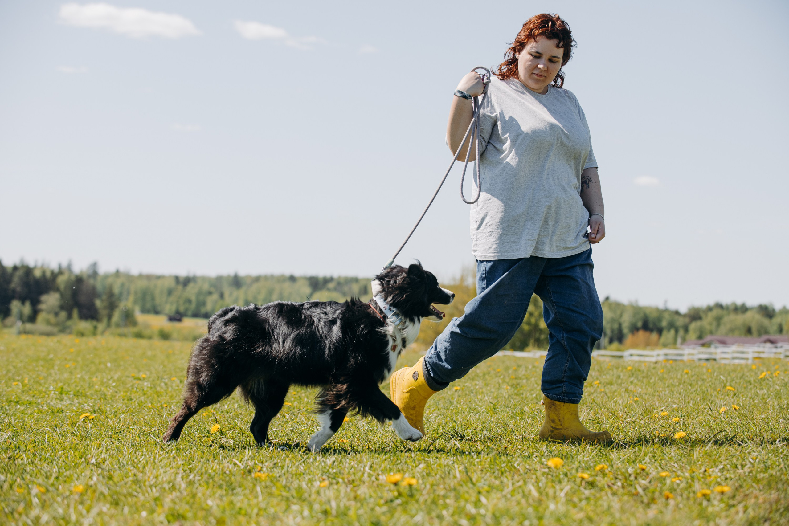 Хава. BLGKV питомник собак