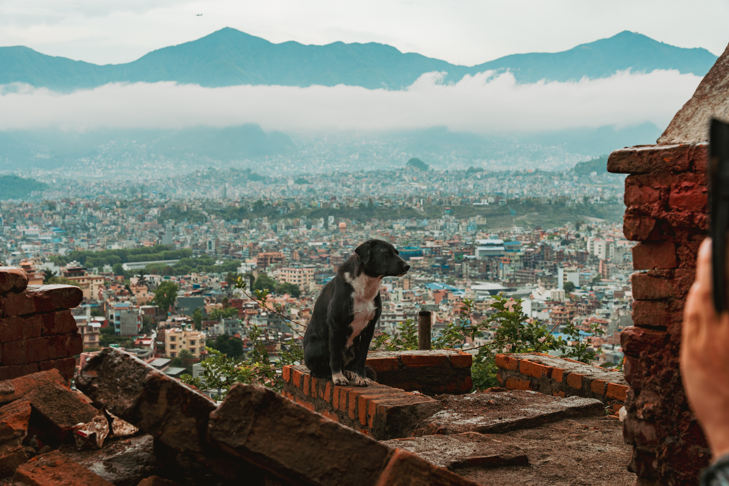 Nepal. Dmitry Ippolitov