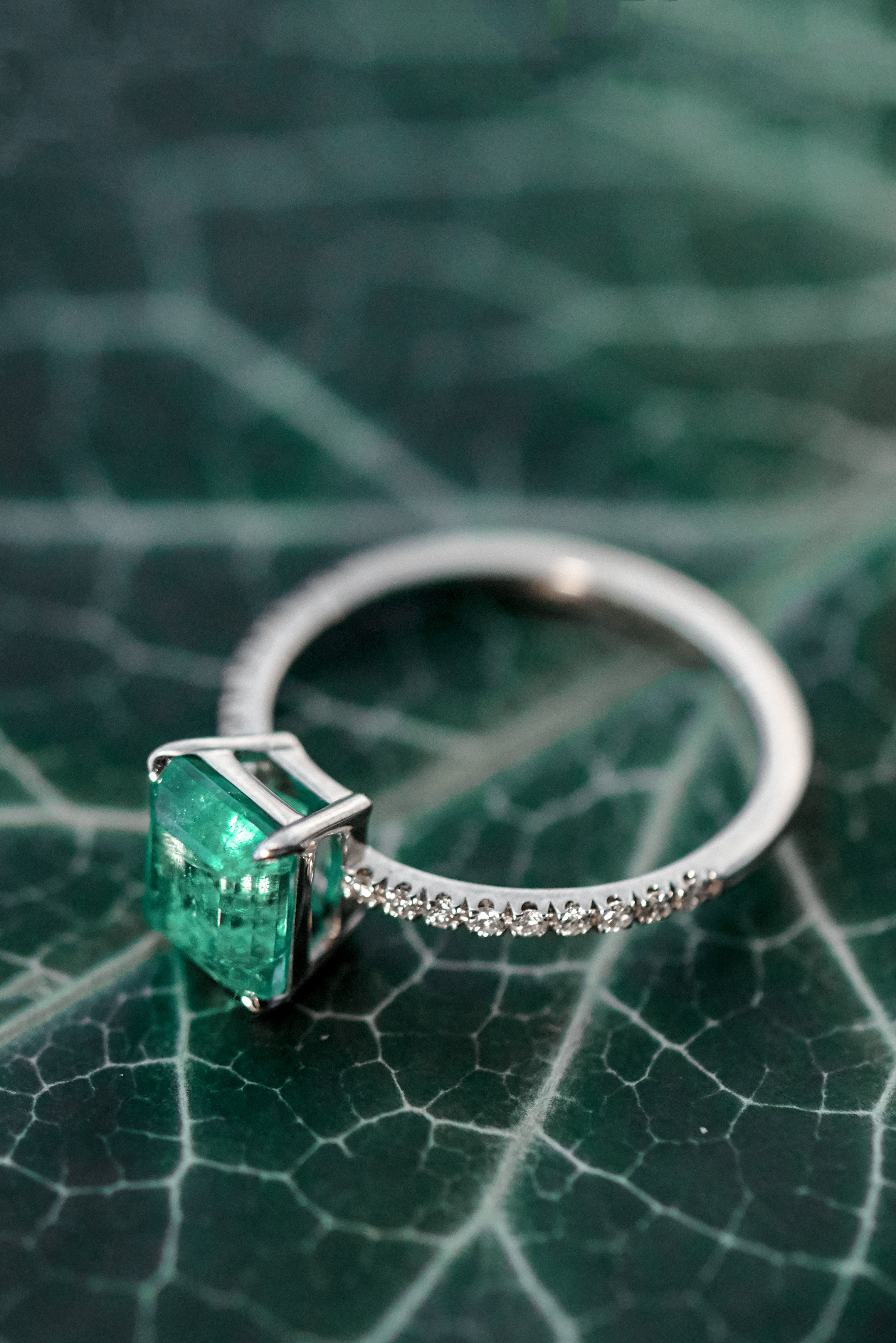 Ювелирка. Свадебный и семейный фотограф Михаил Галабурдин и Анна Завадская. Рост