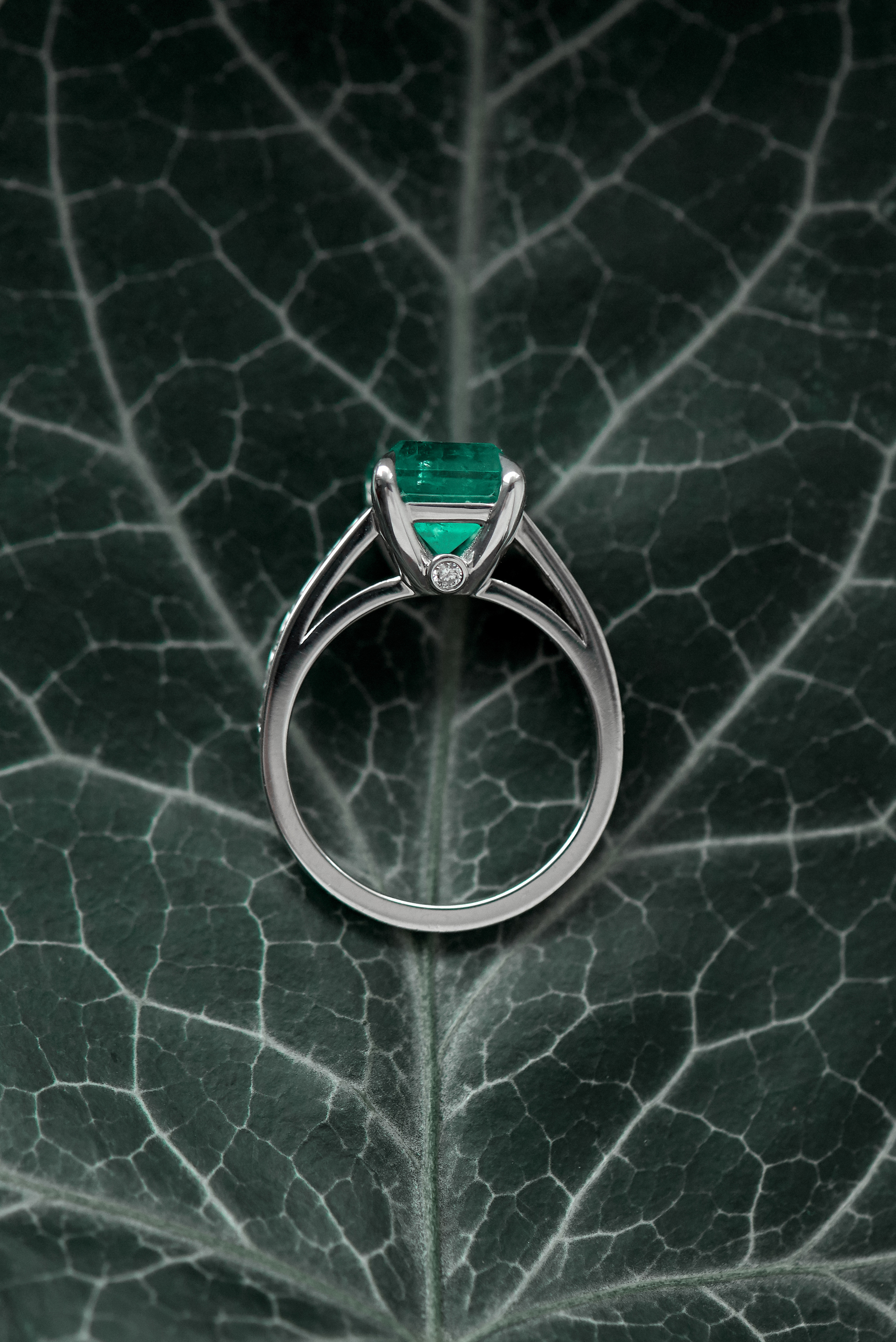 Ювелирка. Свадебный и семейный фотограф Михаил Галабурдин и Анна Завадская. Рост