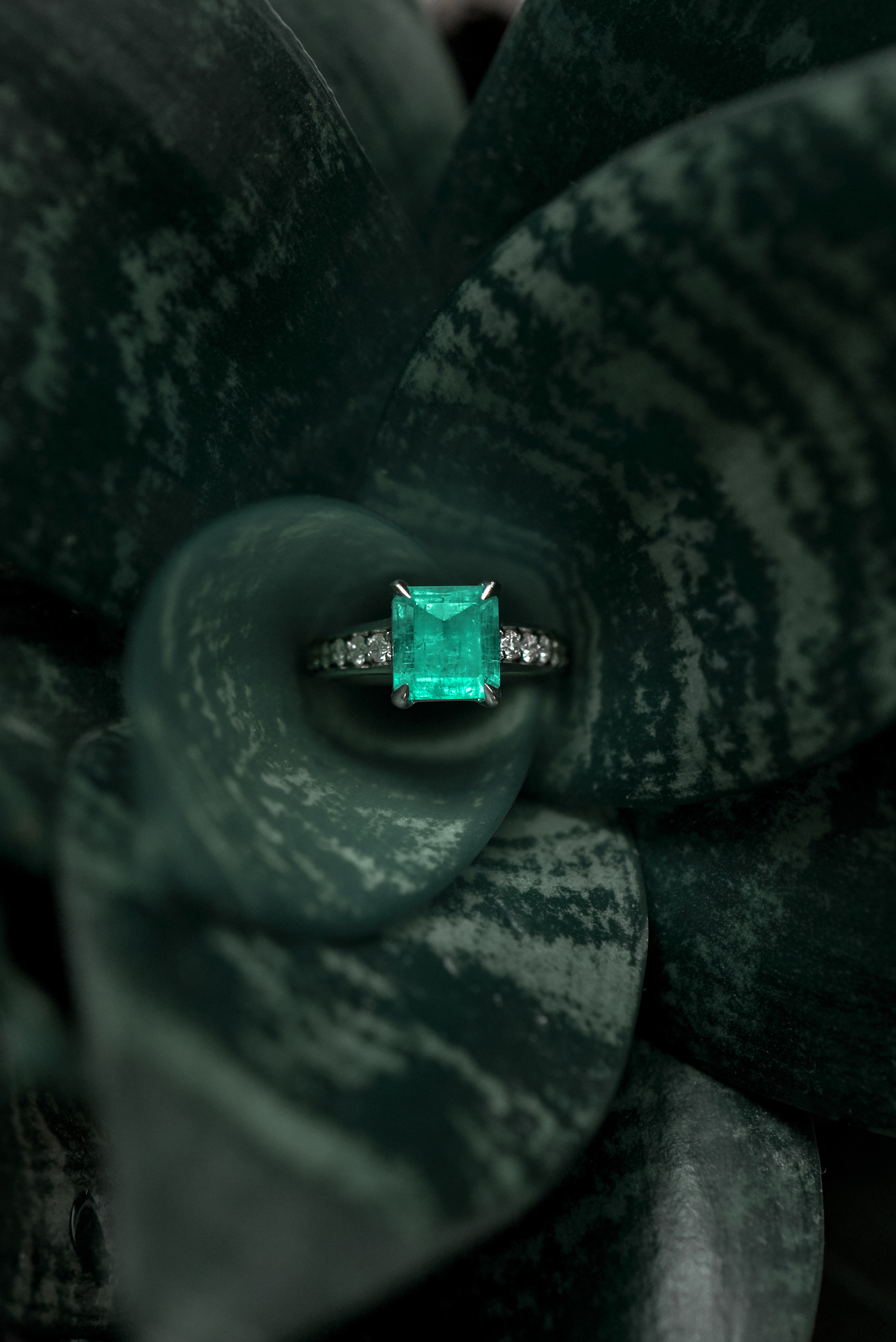 Ювелирка. Свадебный и семейный фотограф Михаил Галабурдин и Анна Завадская. Рост