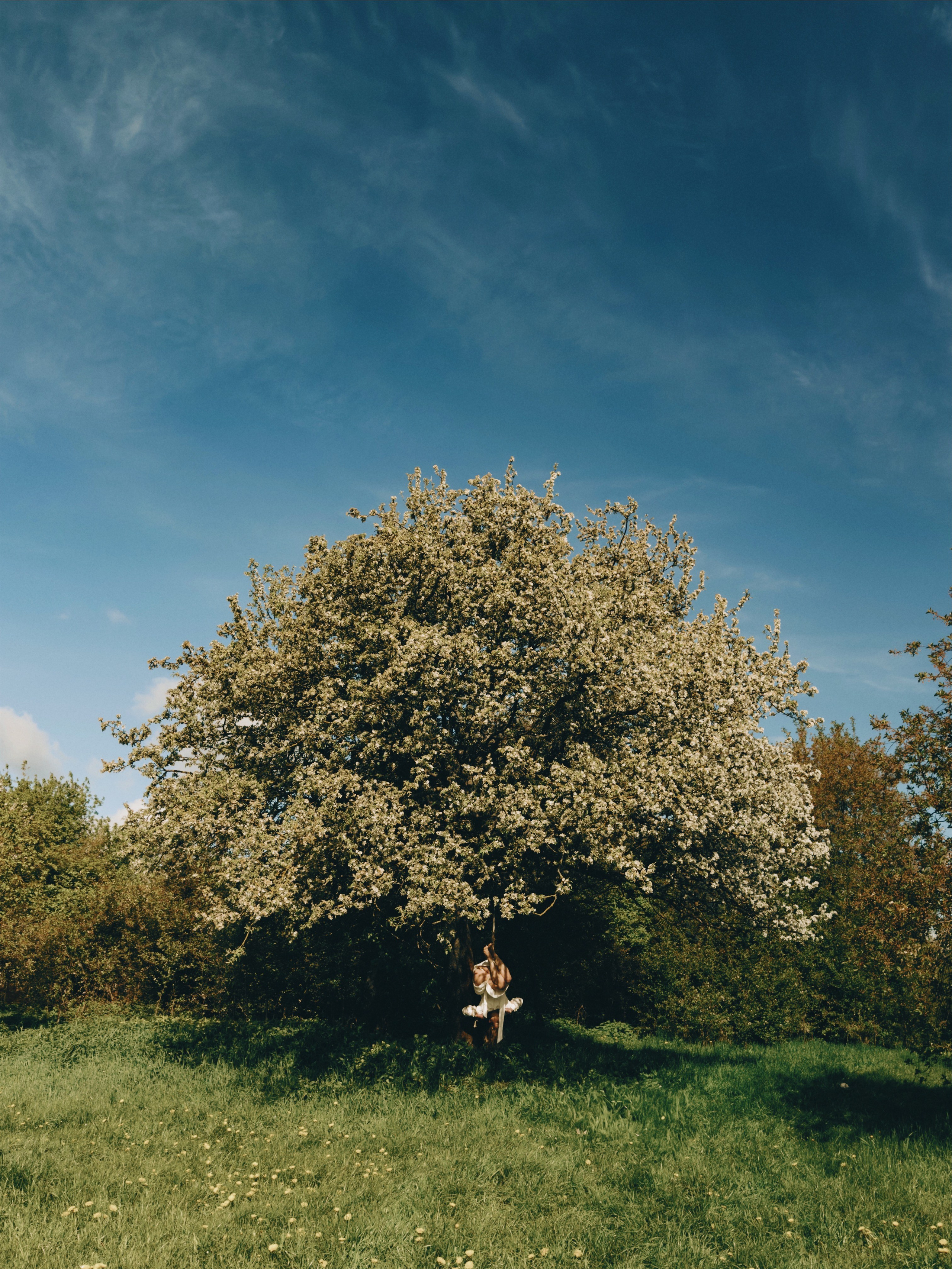 Shibari. Luckyframe1