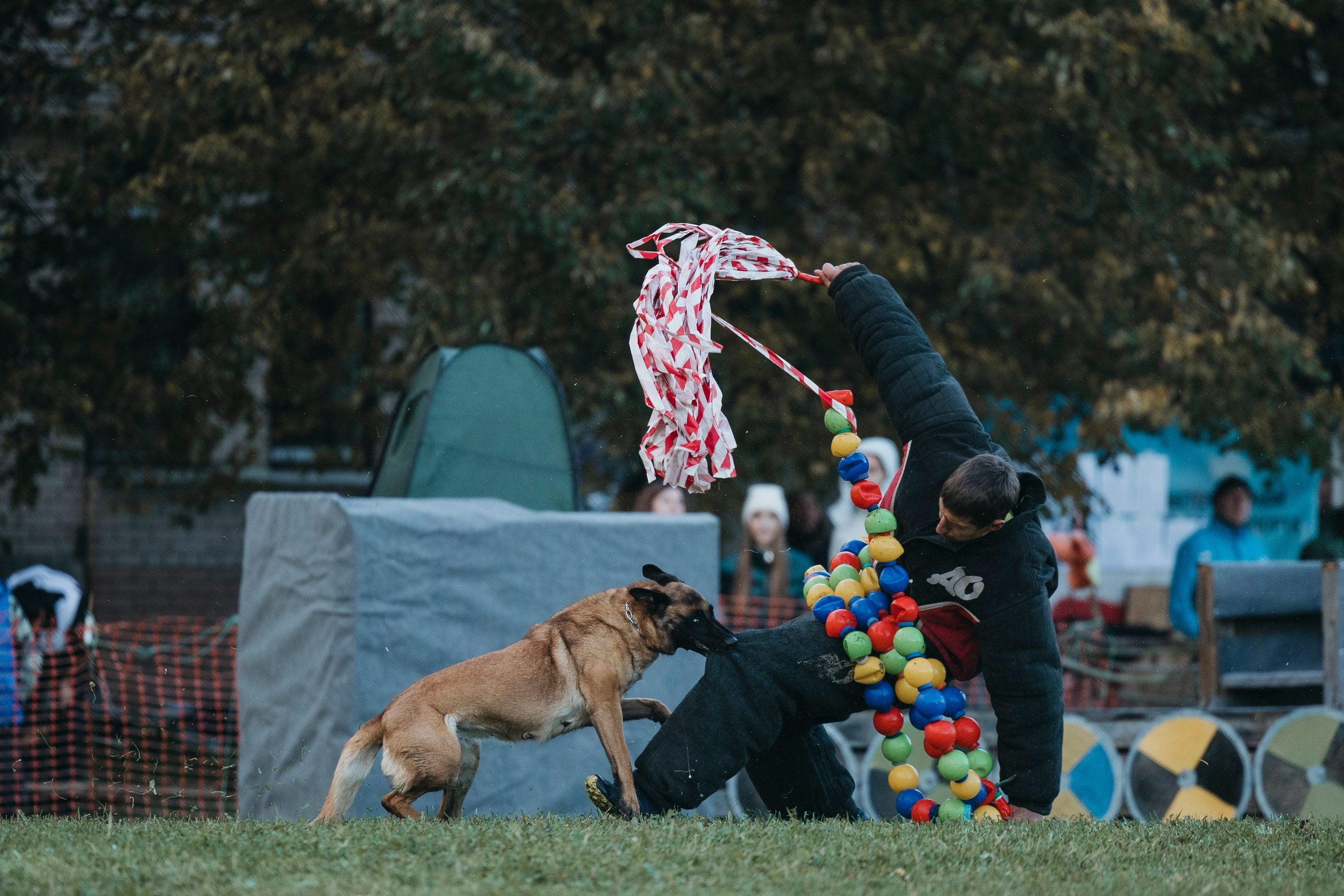 Испытания по мондьорингу г. Пушкин 29.09.2024. Фотограф-анималист Анна Маринич