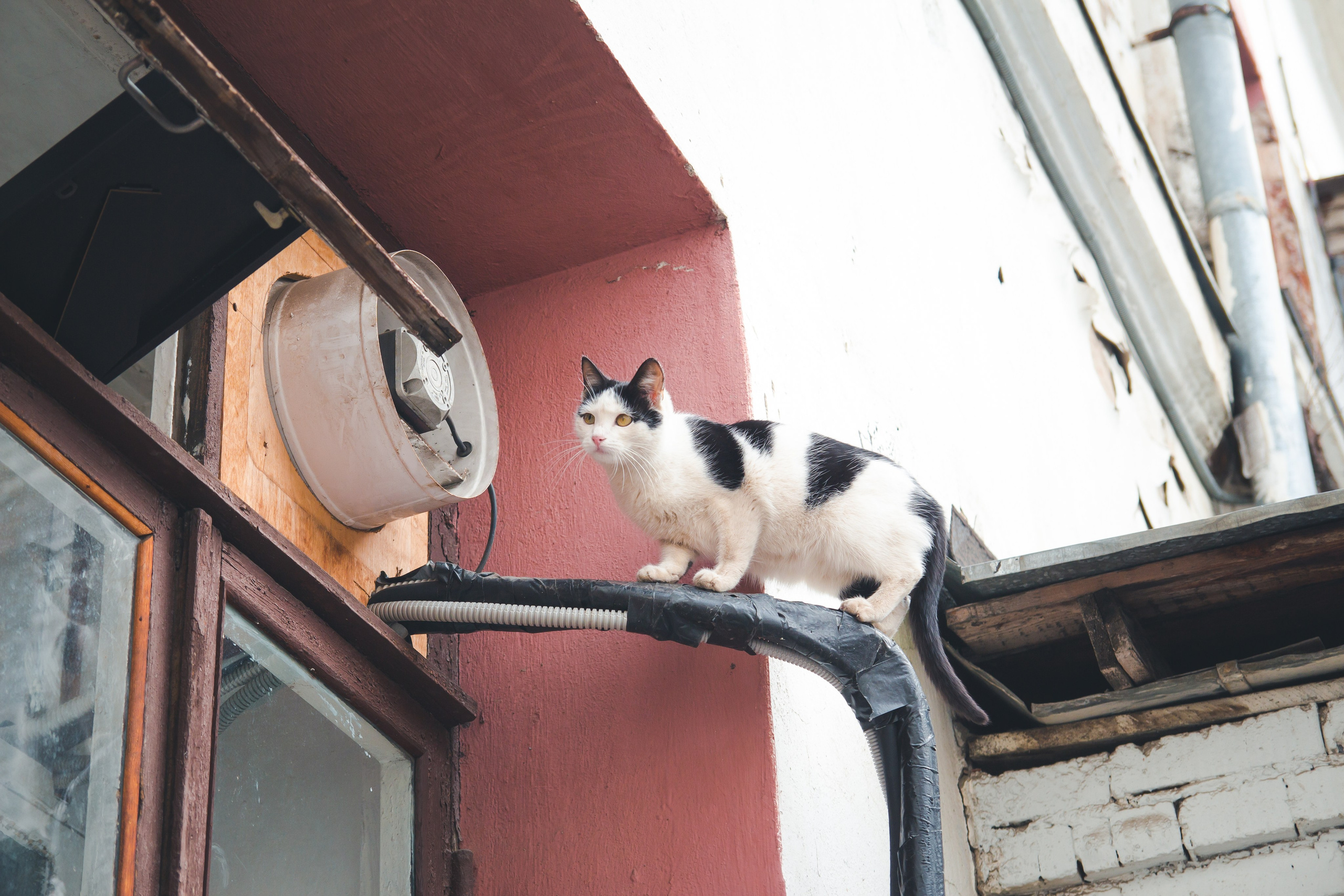 С Сашей на Хохловке. Фотограф Мария Згонник