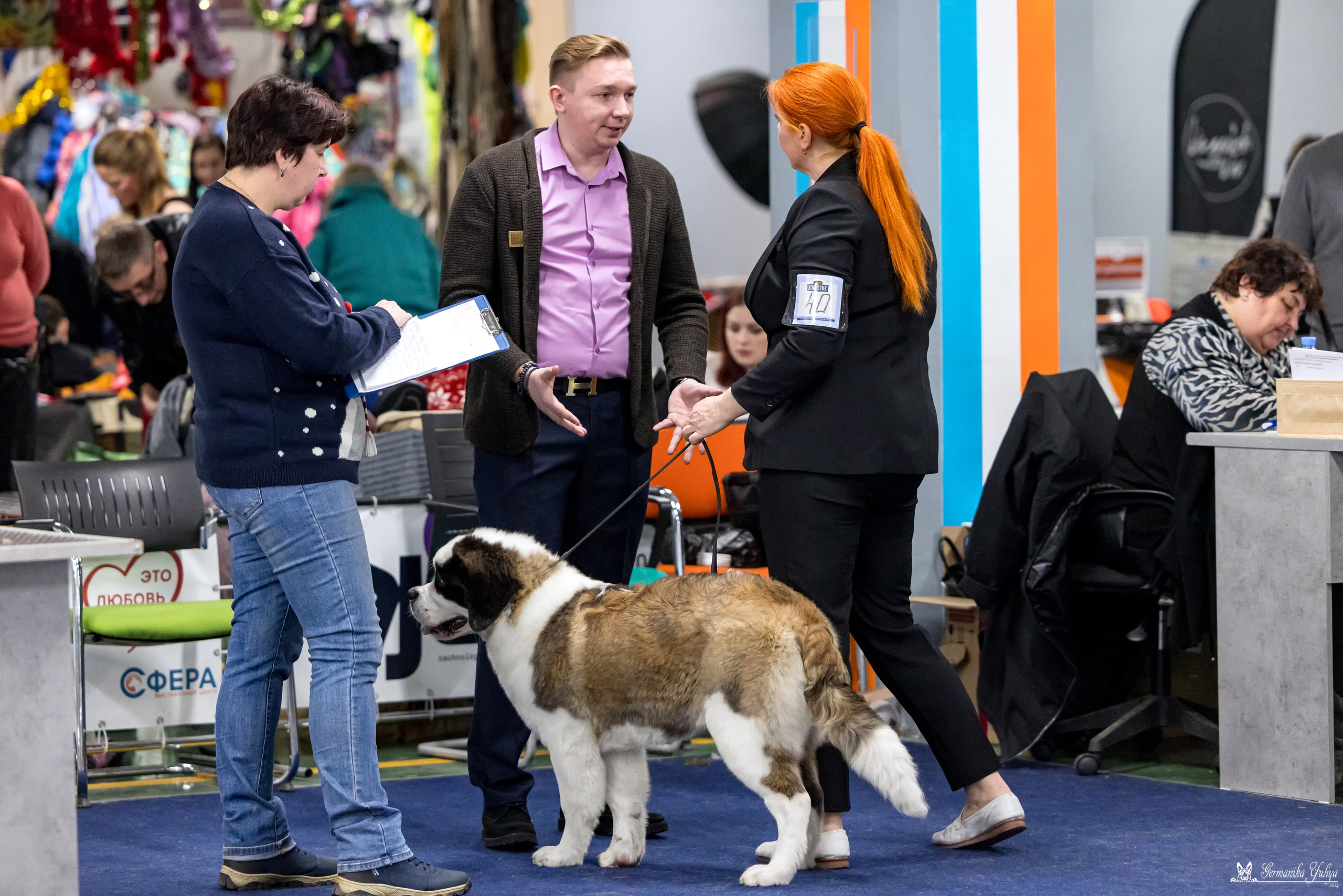 Сфера 28.01. и 4.02.2024. Фотограф-анималист Юлия Германика