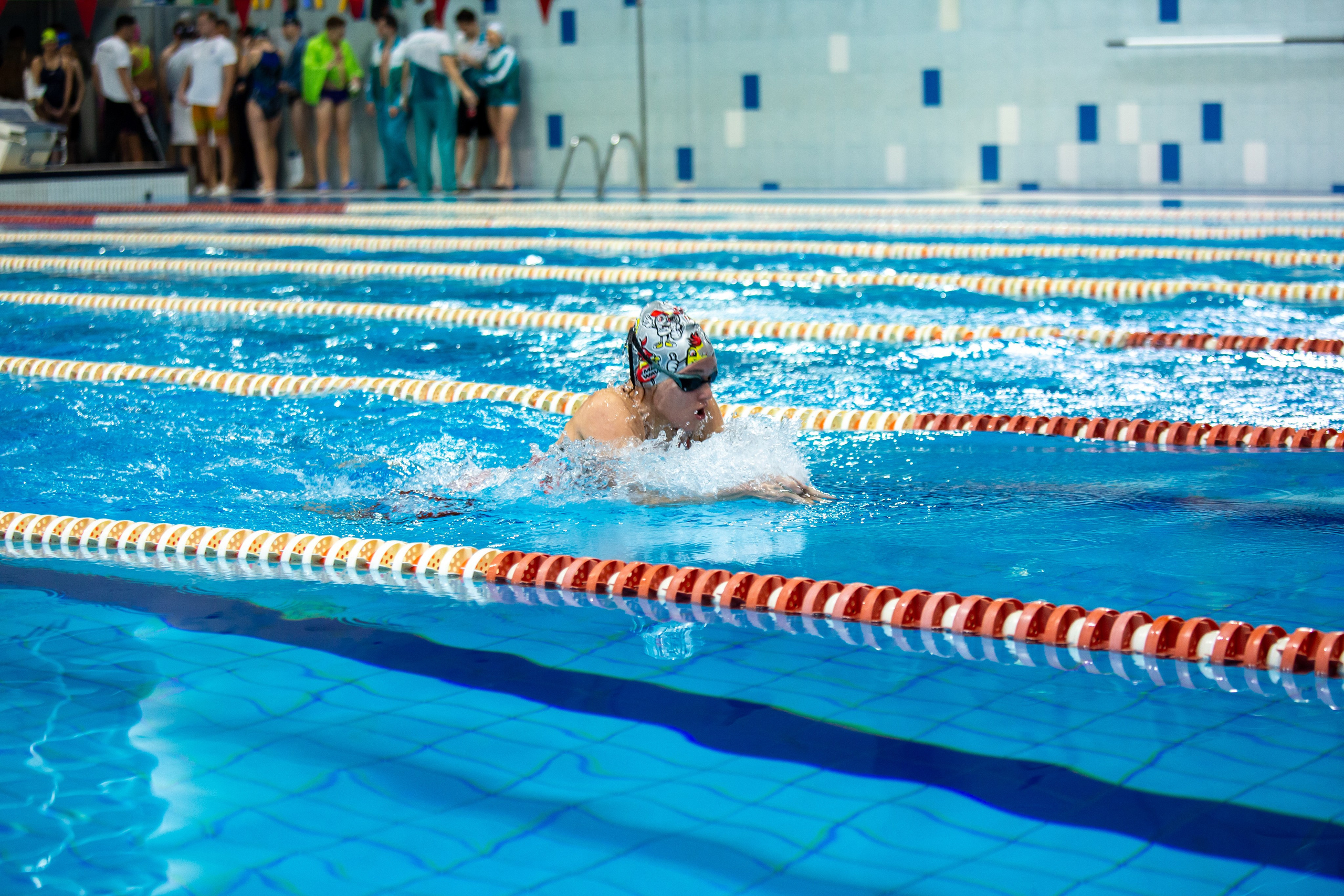 Турнир по плаванию. Репортажный, семейный, свадебный, портретный фотограф