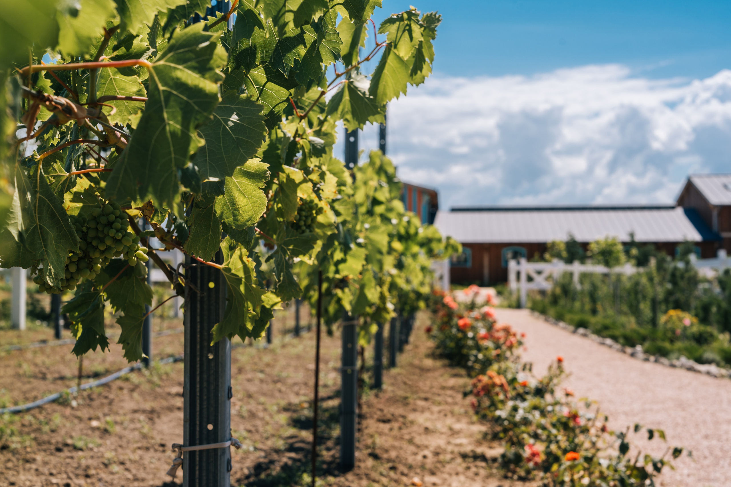 Вилла Романов. Отельный интерьерный фотограф Сочи