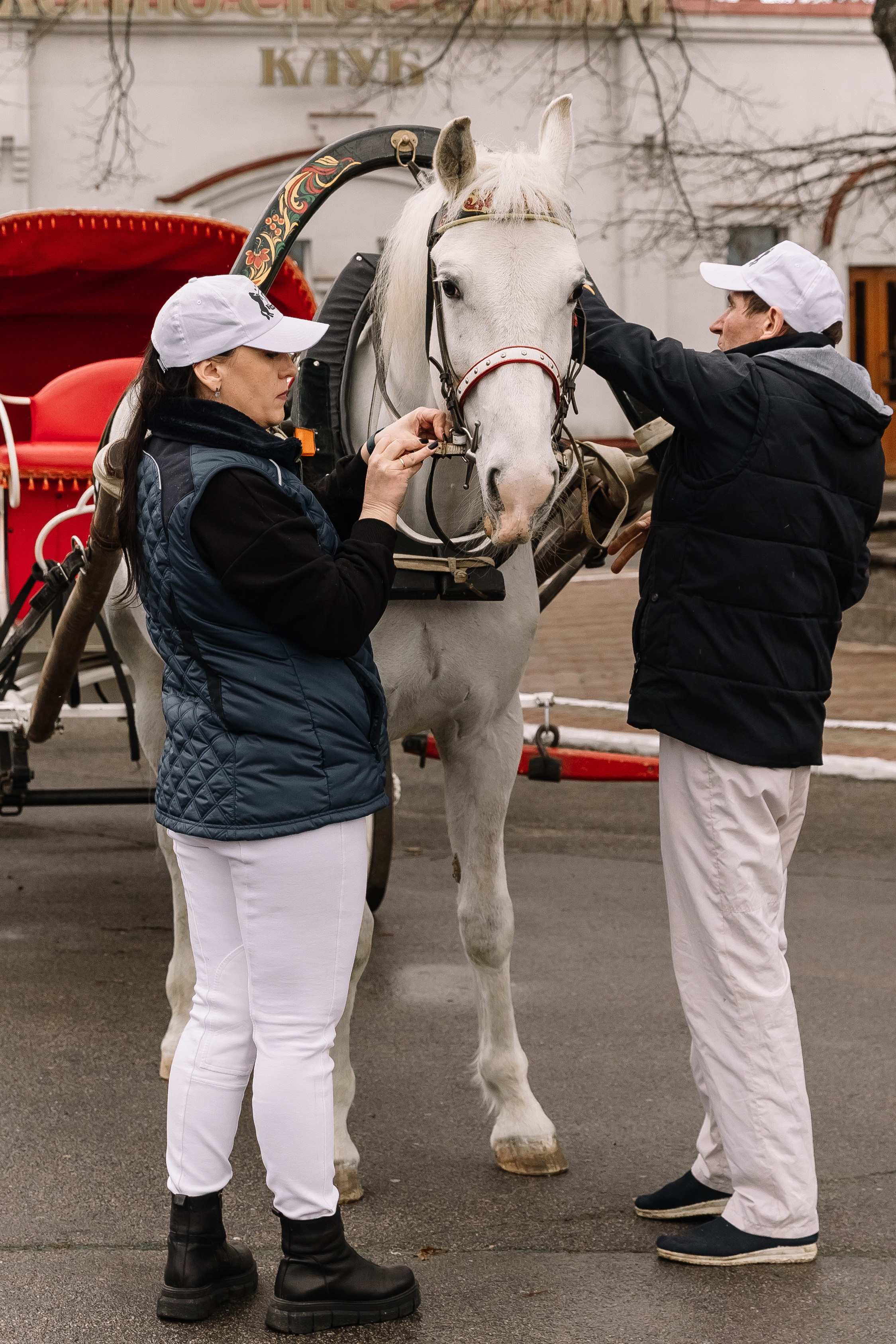 День Орловского рысака. Парк-отель Яр. Свадебный, репортажный фотограф Ирина Шкурина