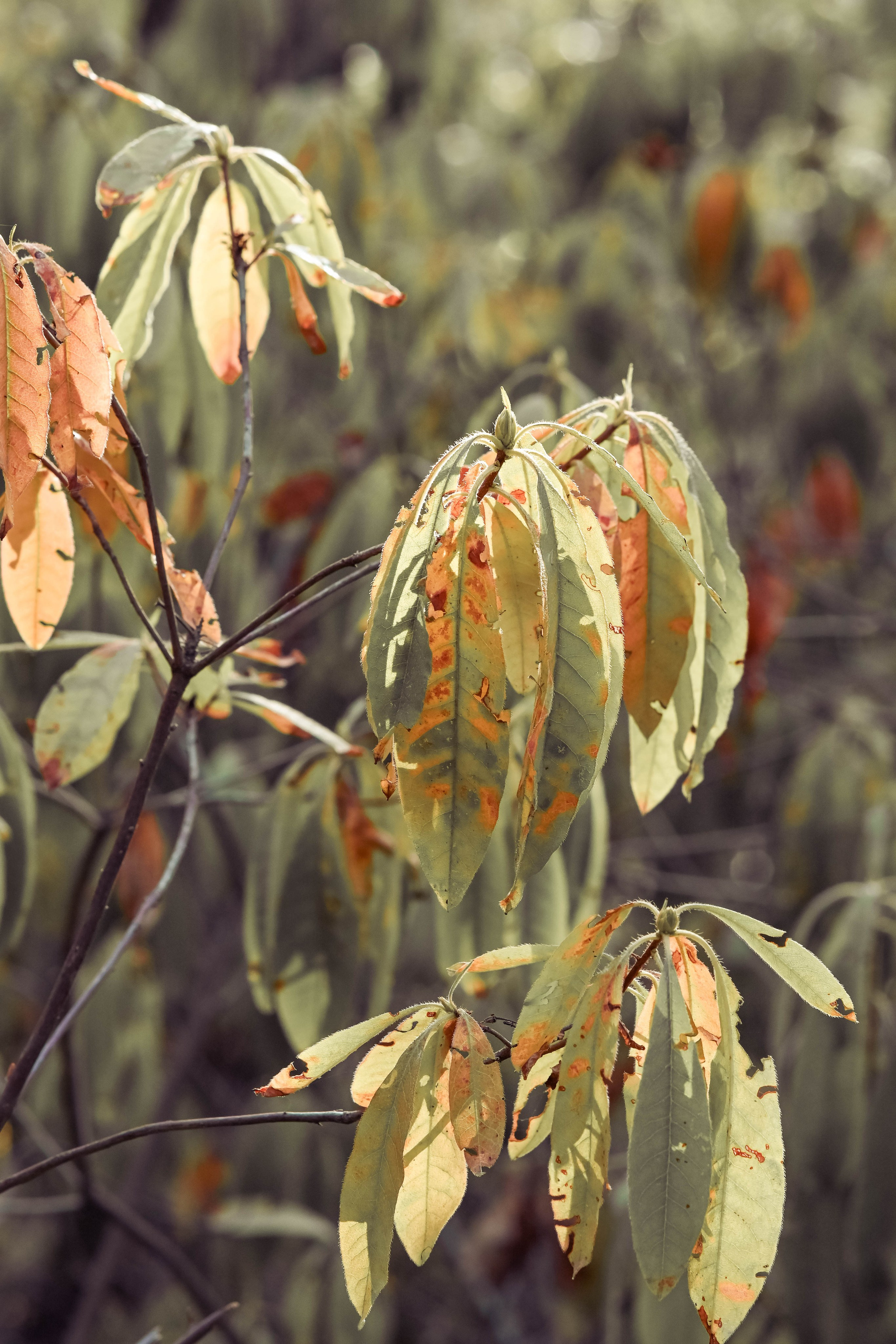 Веселые девчата. Предметный фотограф в Горячем Ключе Вера Швец