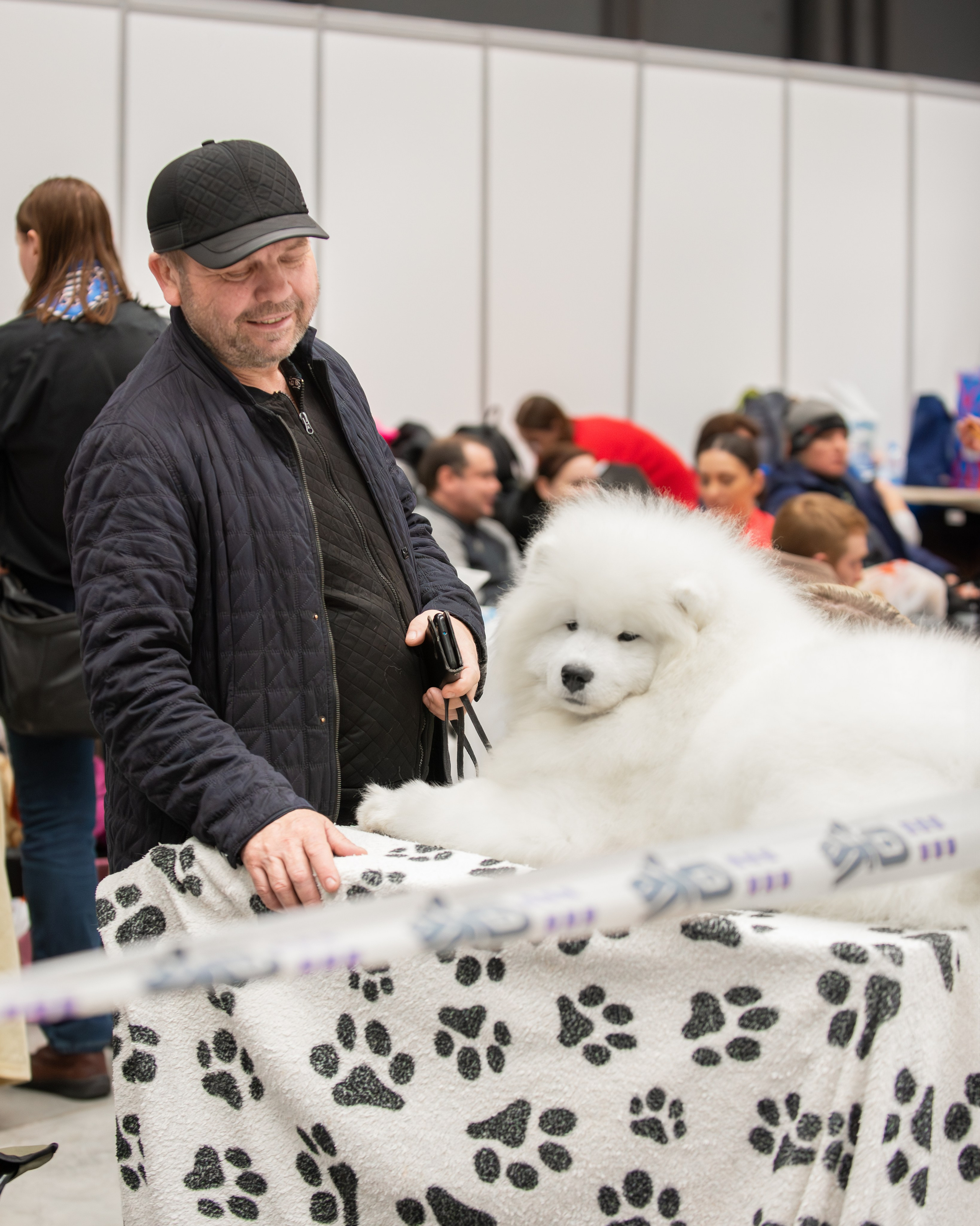 Выставки. Фотограф — Анималист