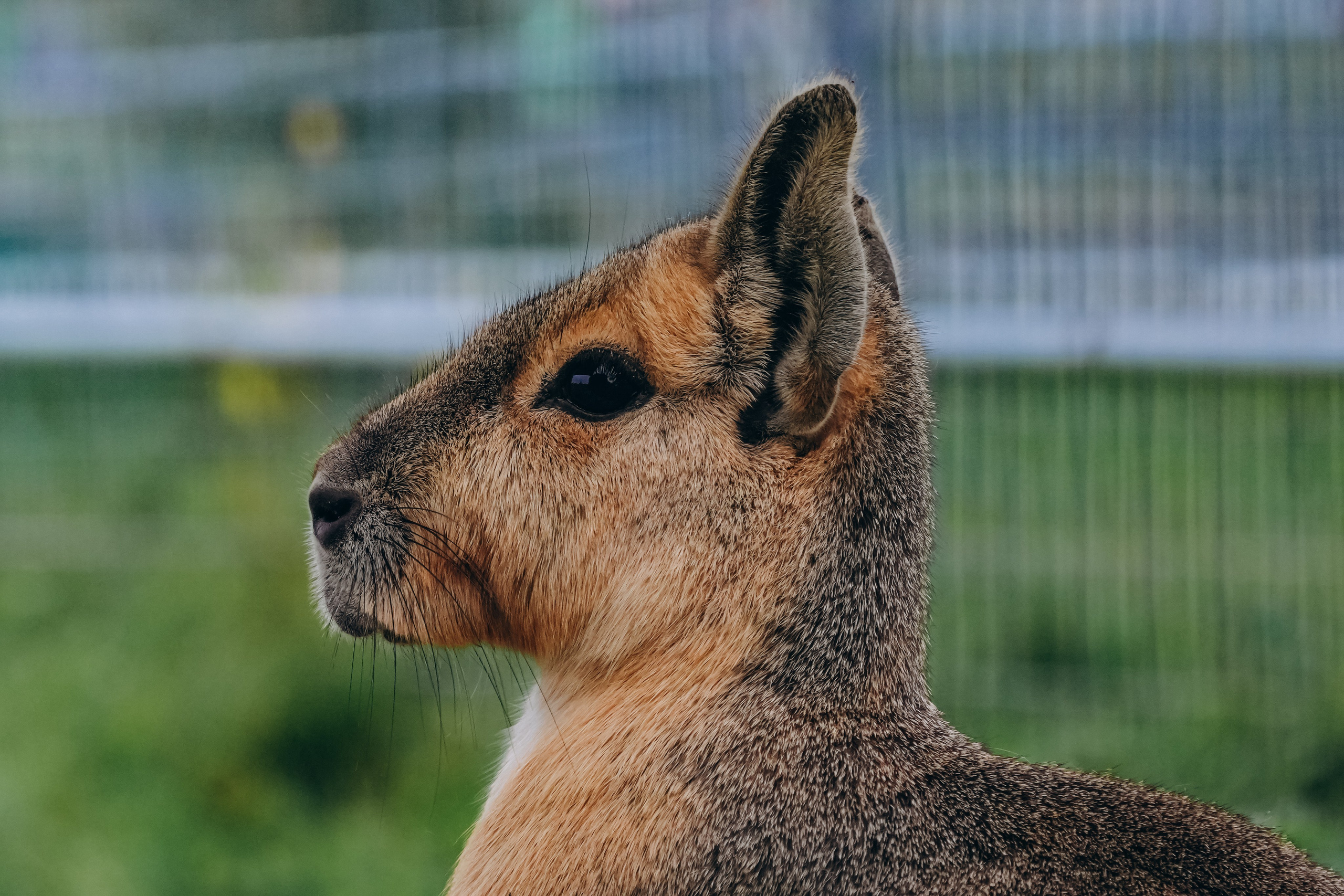СЕВЕР. Event фотограф Степанова Александра
