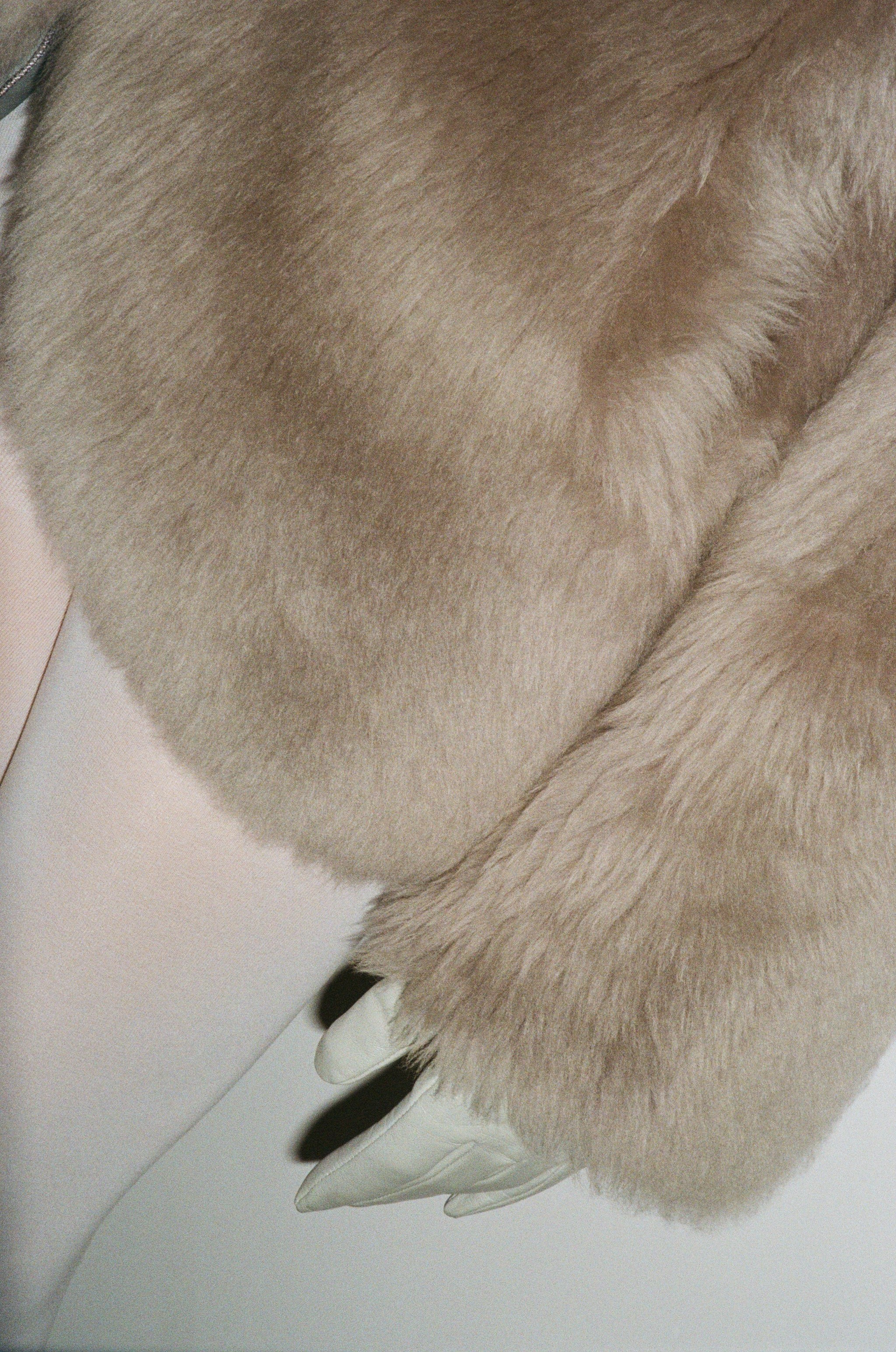 Film. Garkavaya Leyla photographer in Belgrade