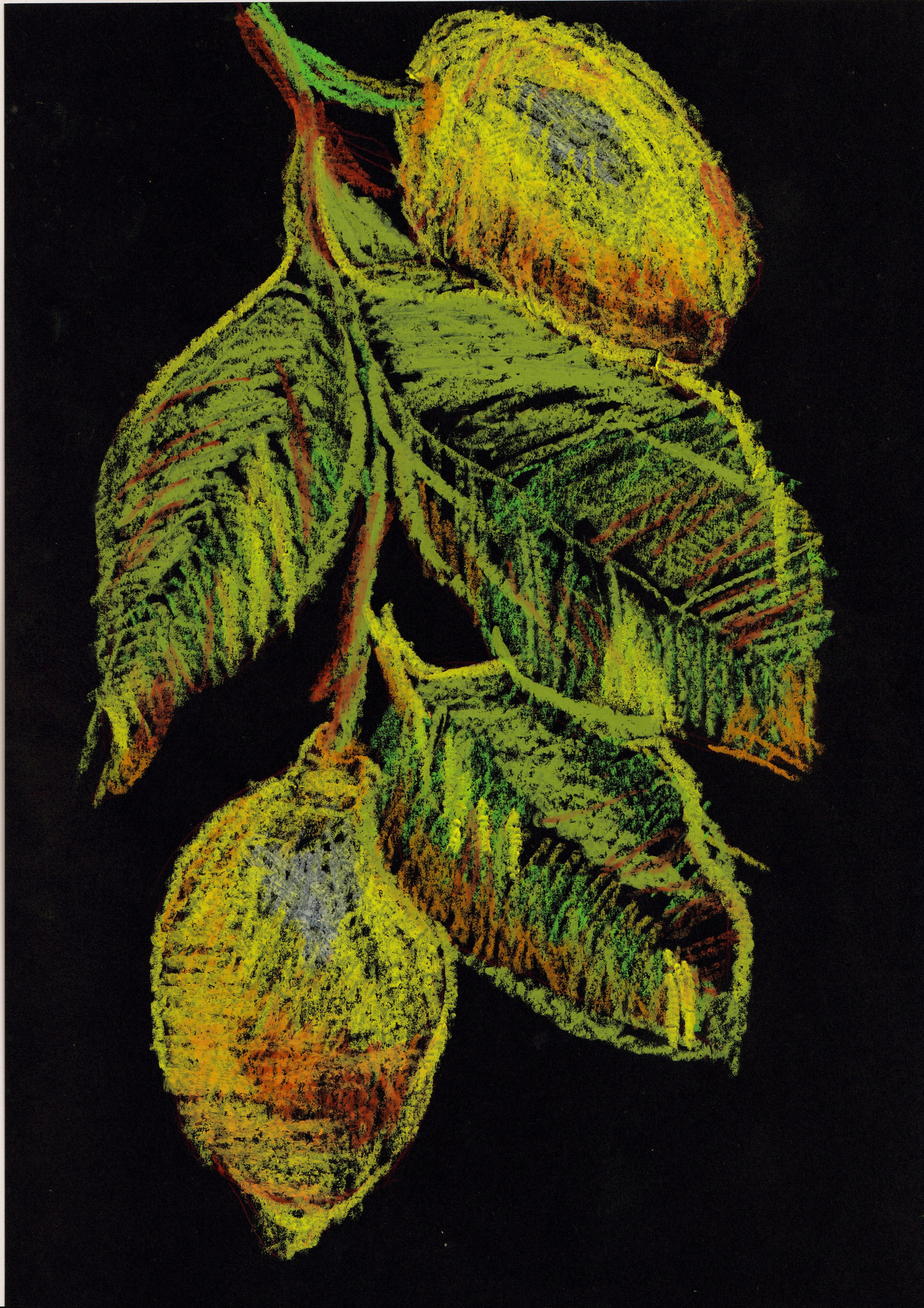 Скетчи. Ожерельев Лев