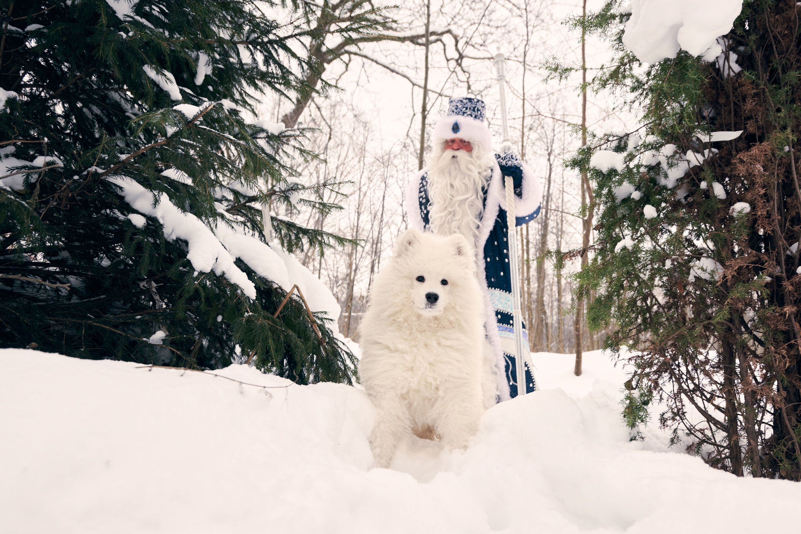 Дед Мороз с Платоном. Никита Хохловский фото и видео продакшн