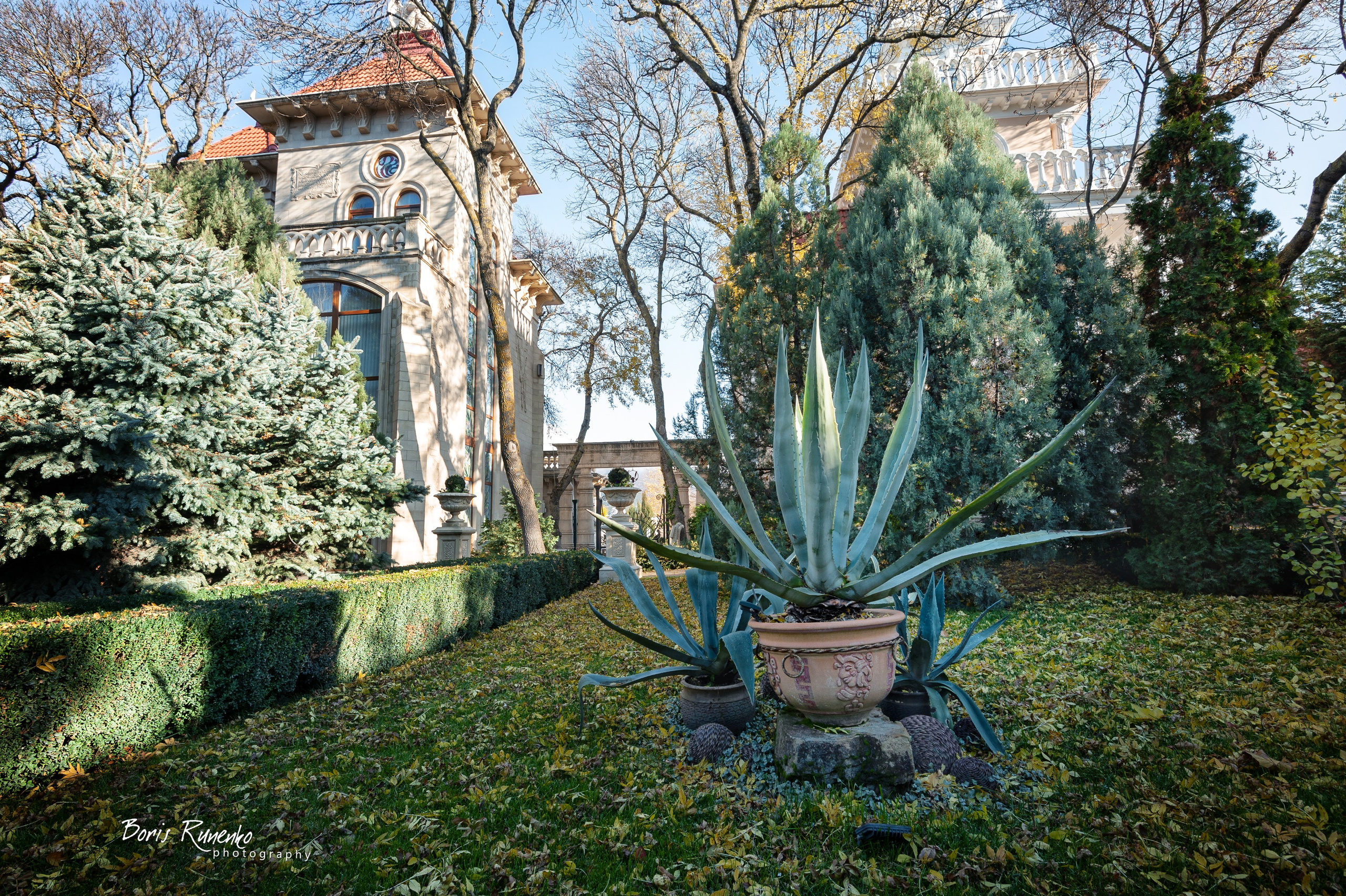 КАБАРДИНКА. СТАРЫЙ ПАРК. Борис Руненко. Пейзажный и travel-фотограф