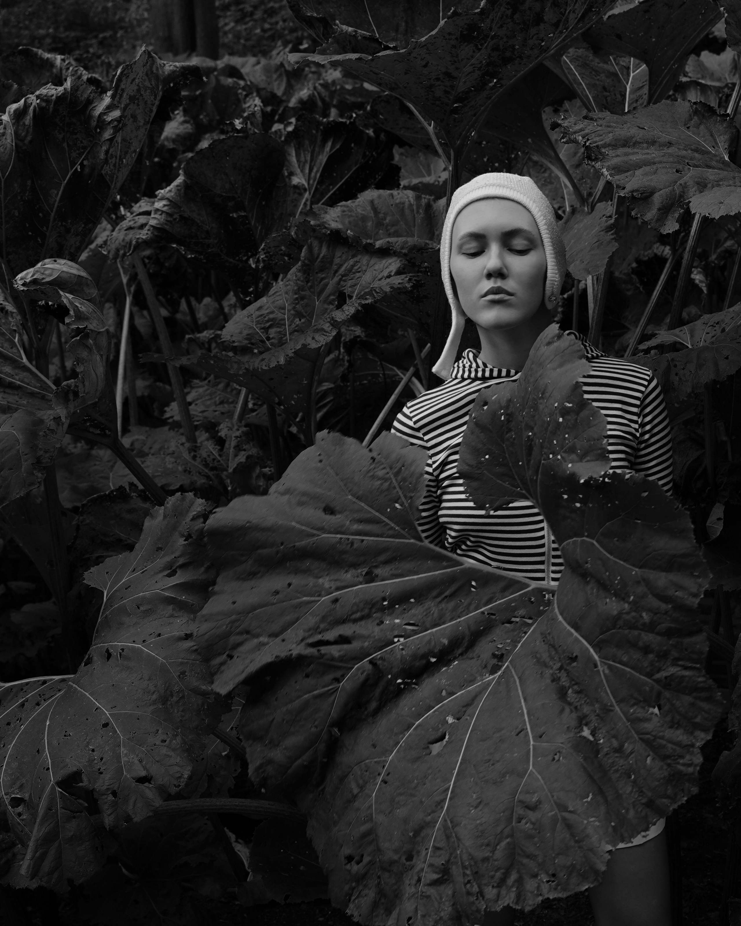 Portrait. Katyavasileva