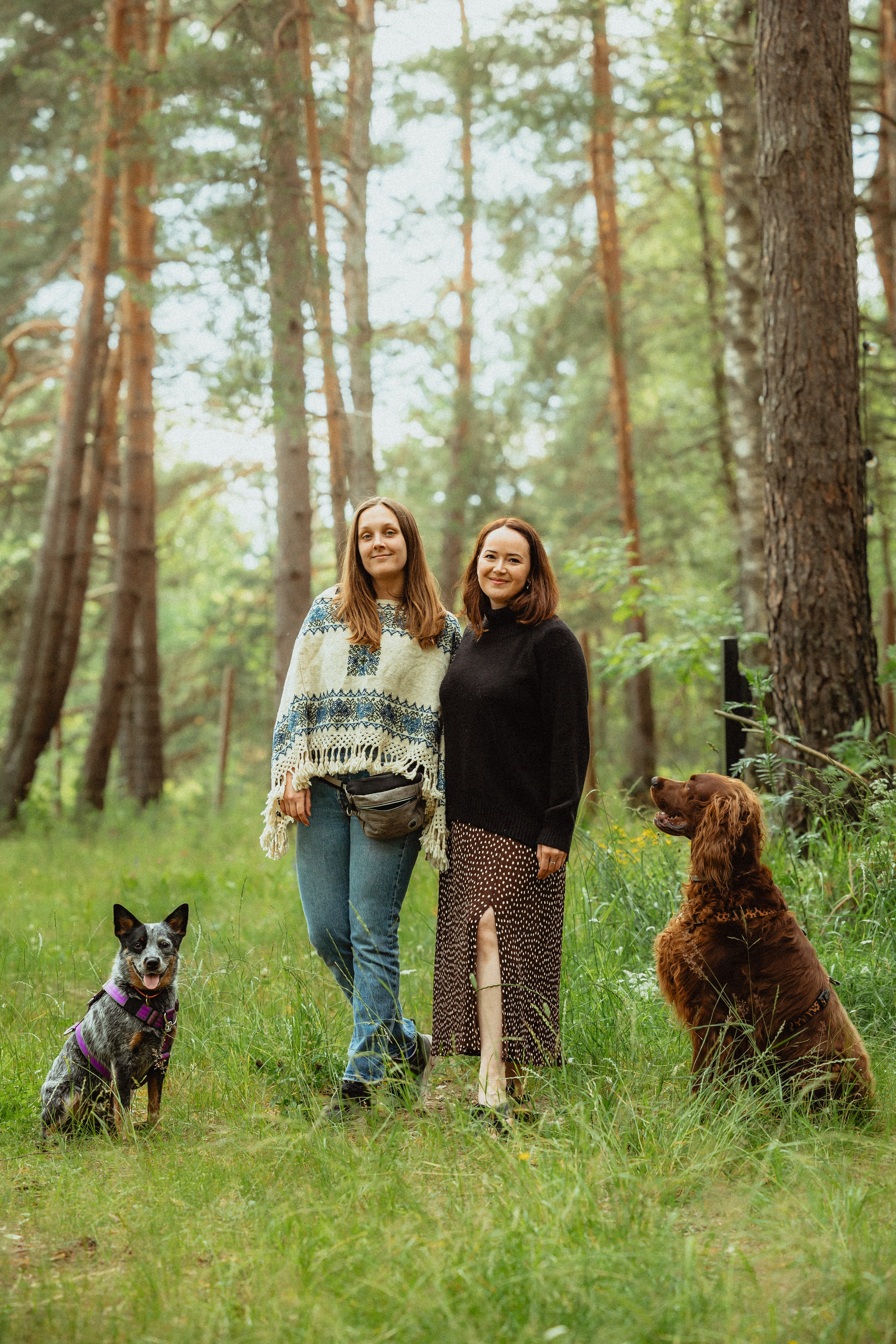 Выездной дог-тренинг от школы «Шерсть имею»