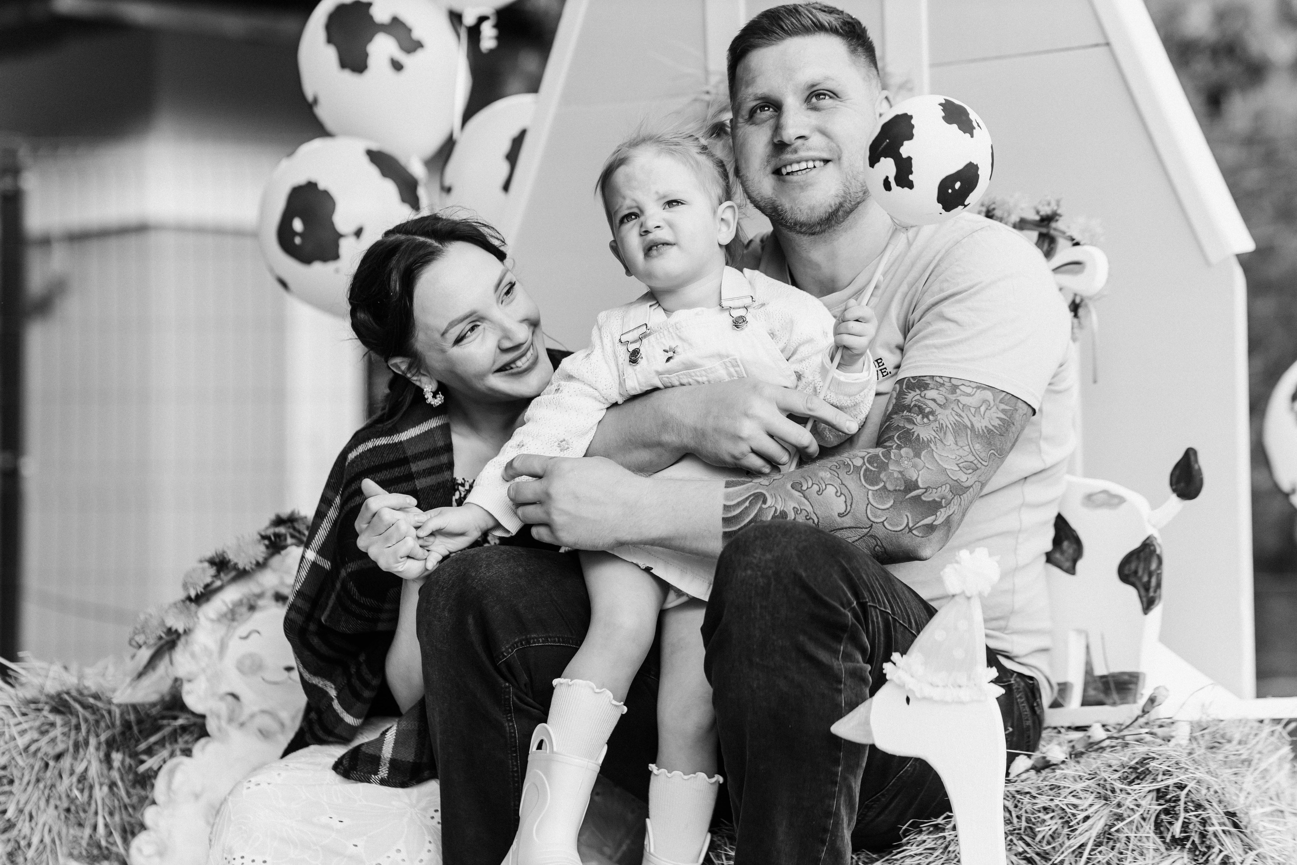 Репортаж дома, др