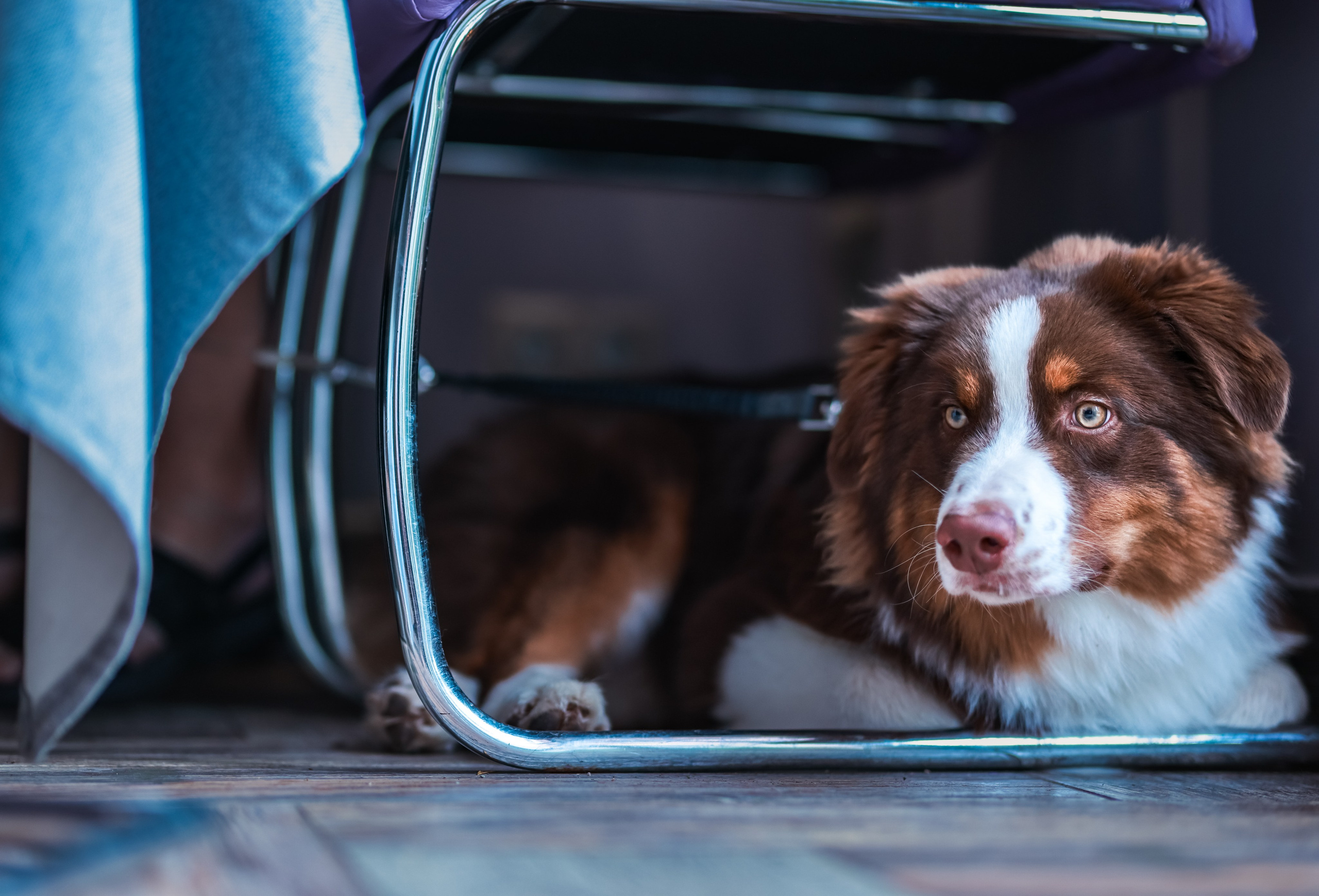 В кафе. Фотограф репортажей и стритфотосессий в Москве Людмила Смирнова