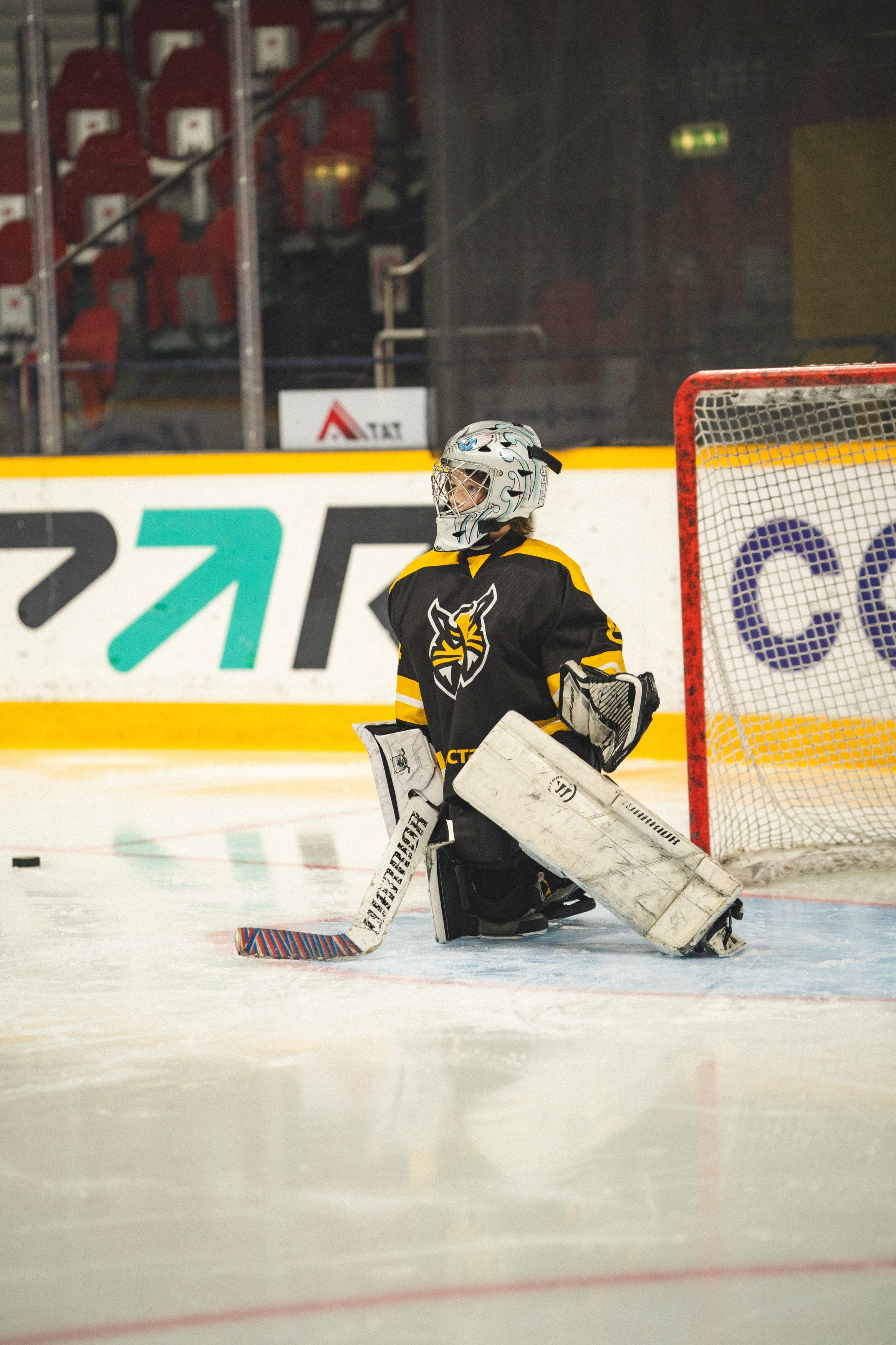 ХК Северсталь (младшая группа). Череповец. Zekons. Фото, видео, нейросети