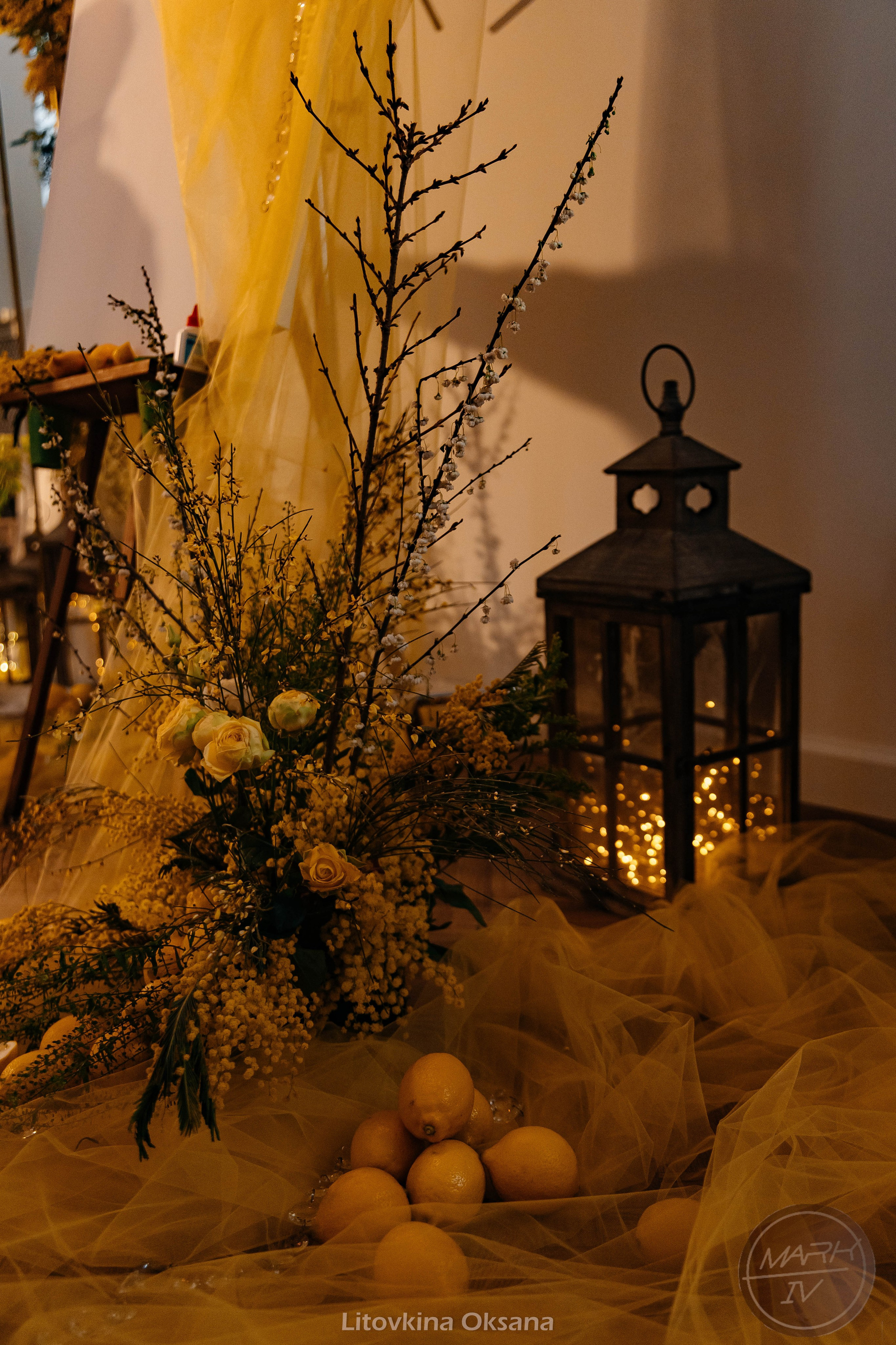 Открытие фотостудии Mark IV. Свадебный и репортажный фотограф МОСКВА