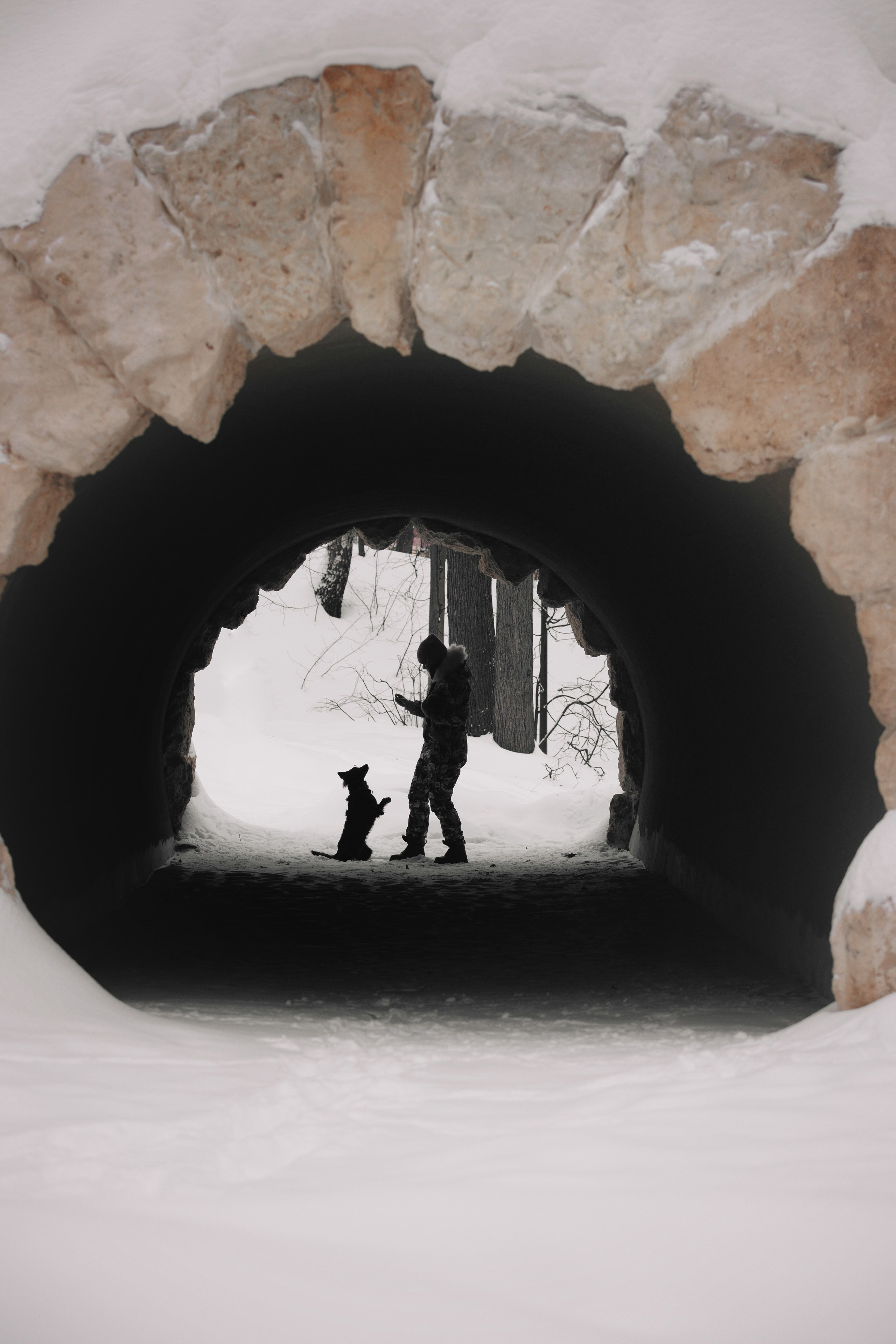 Соня и Персей в Нескучном саду. Фотограф анималист Кристина Карпова, Москва