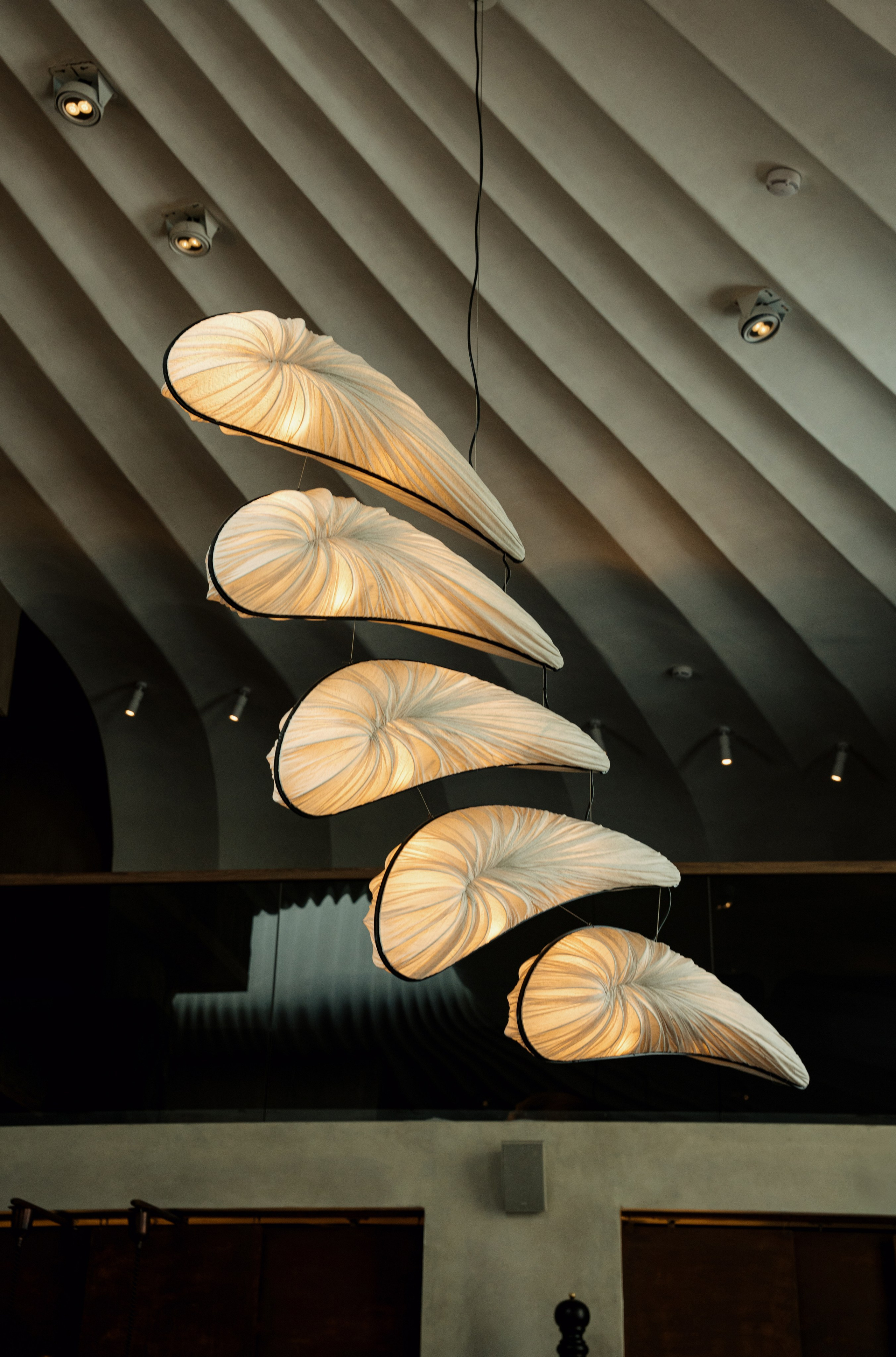 MAYR VEDA. Yankovski_001