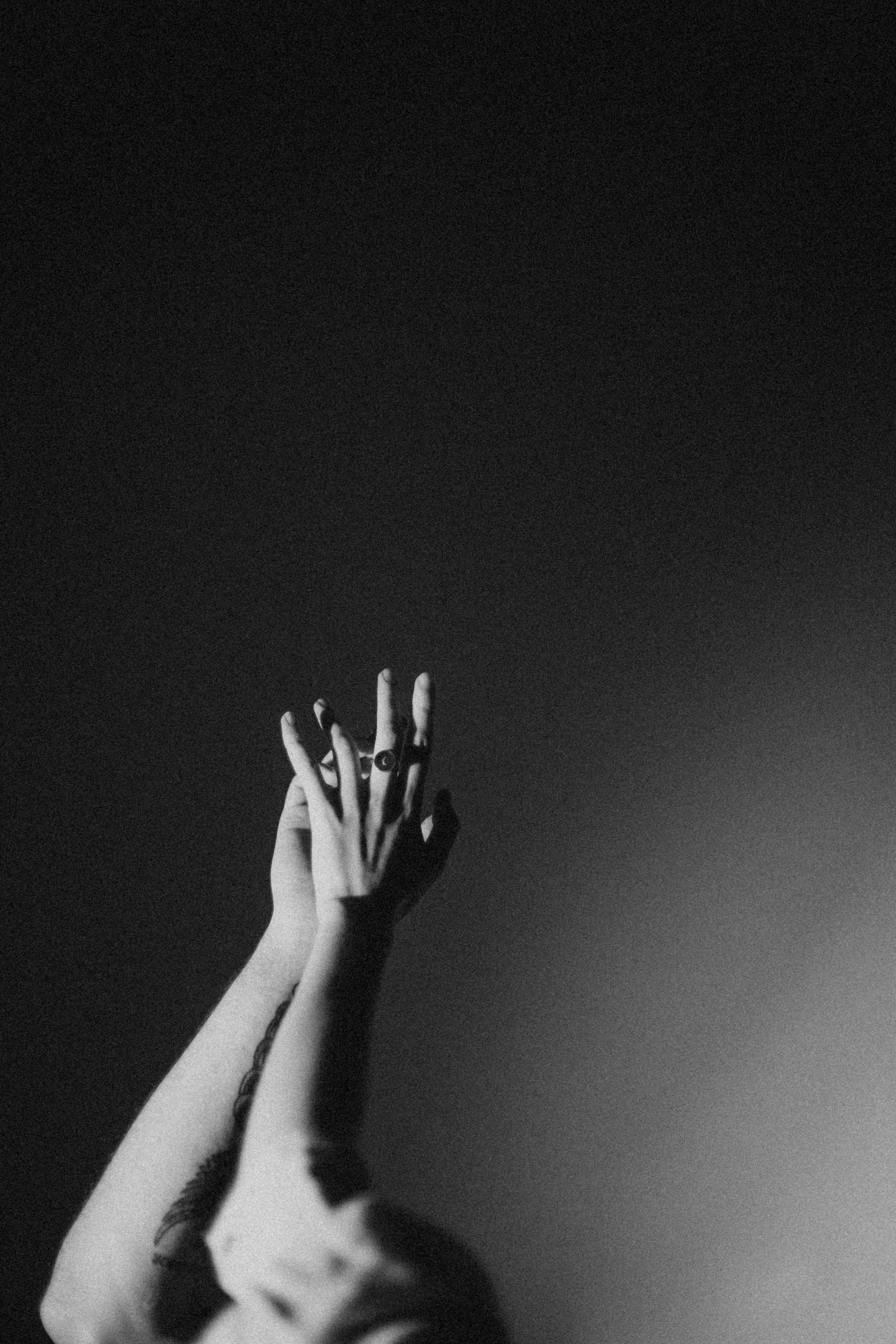 Elena Raya • Photographer