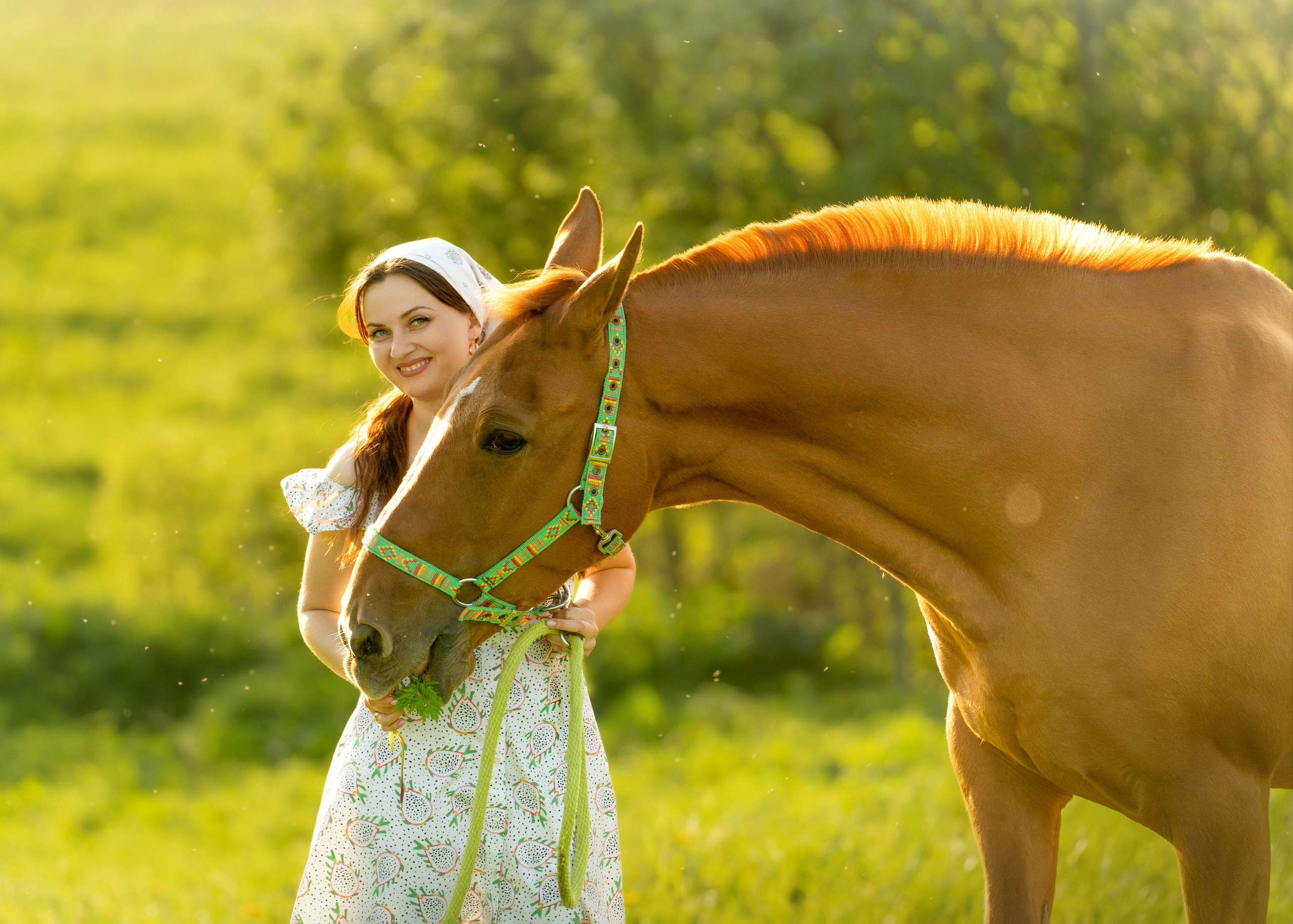 Поле. Фотограф Дарья Соколовская