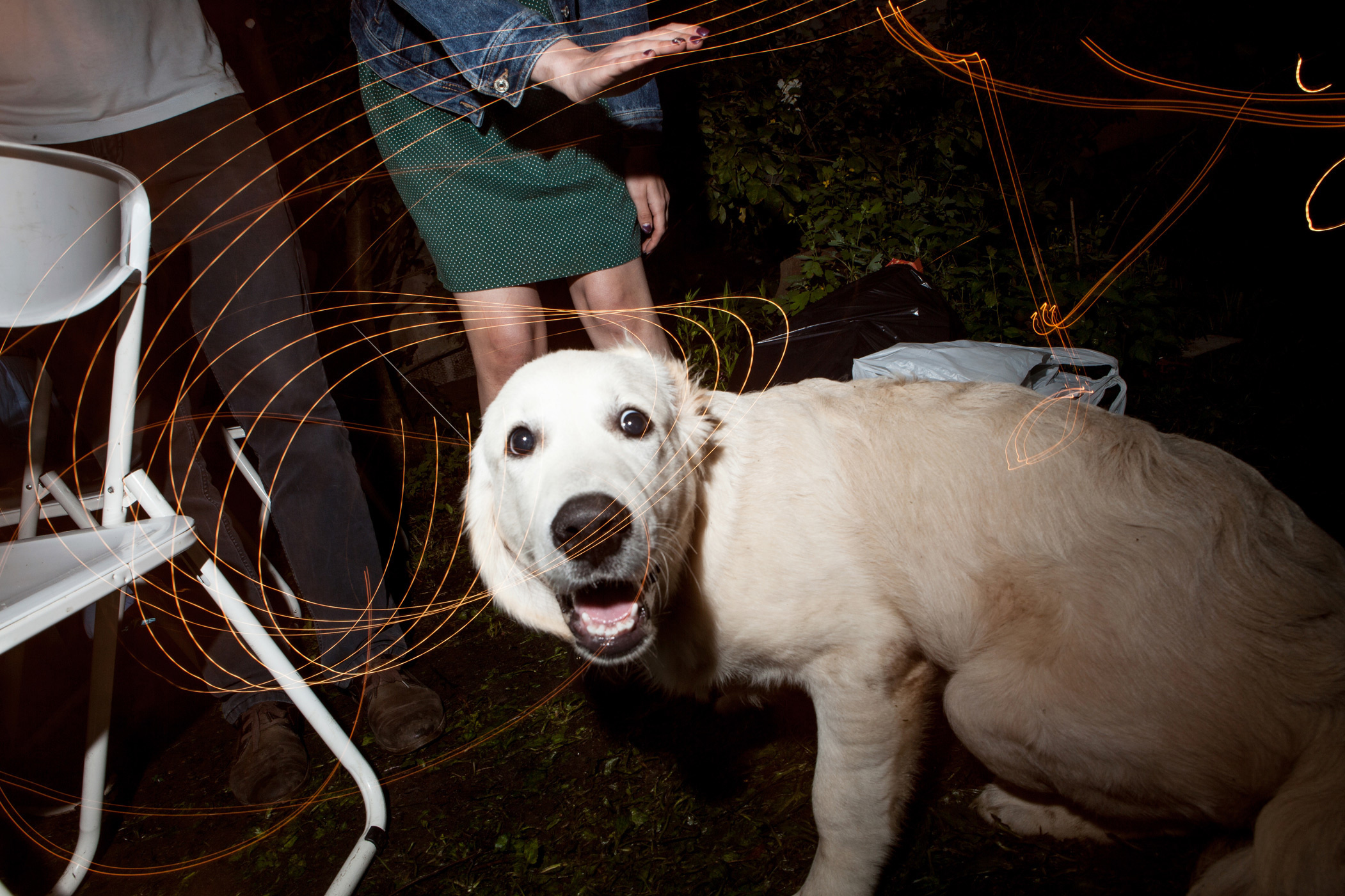 Свадебный фотограф. Свадебный фотограф Колесников Антон