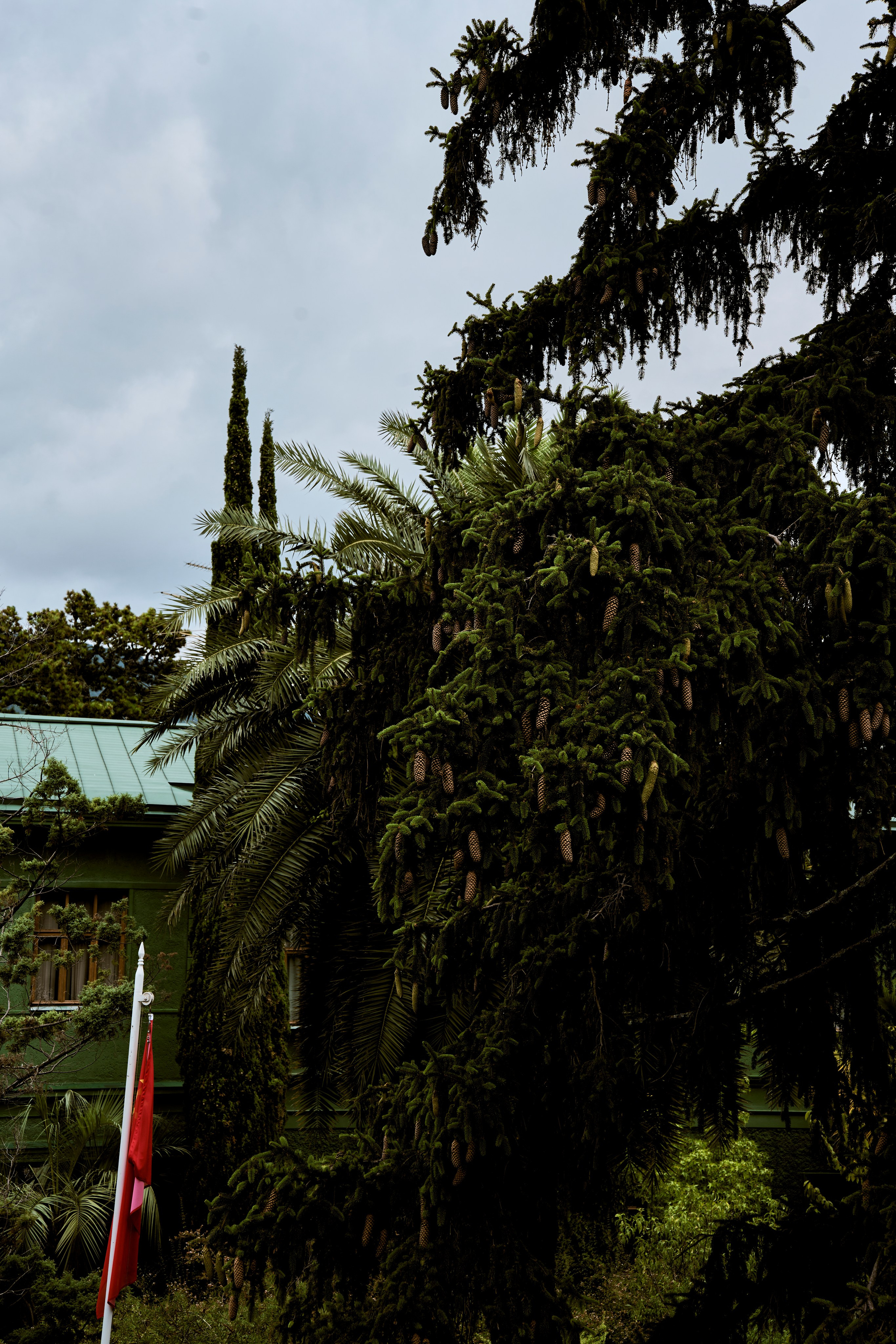 СОЧИ. Студийный фотограф в Екатеринбурге Бшари Заана