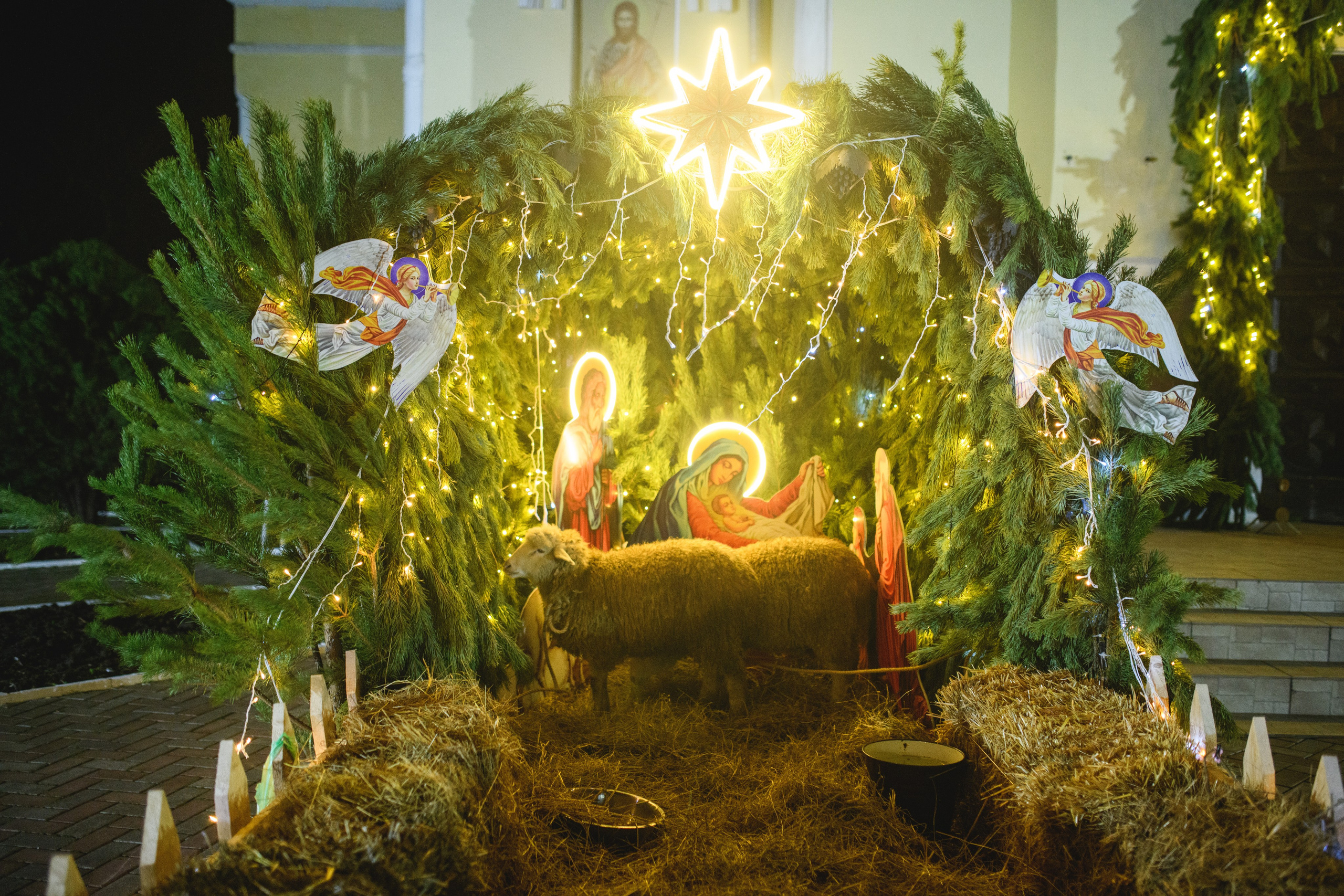 Рождество Христово 7.01.2024. Семейный и свадебный фотограф в Феодосии и Коктебеле