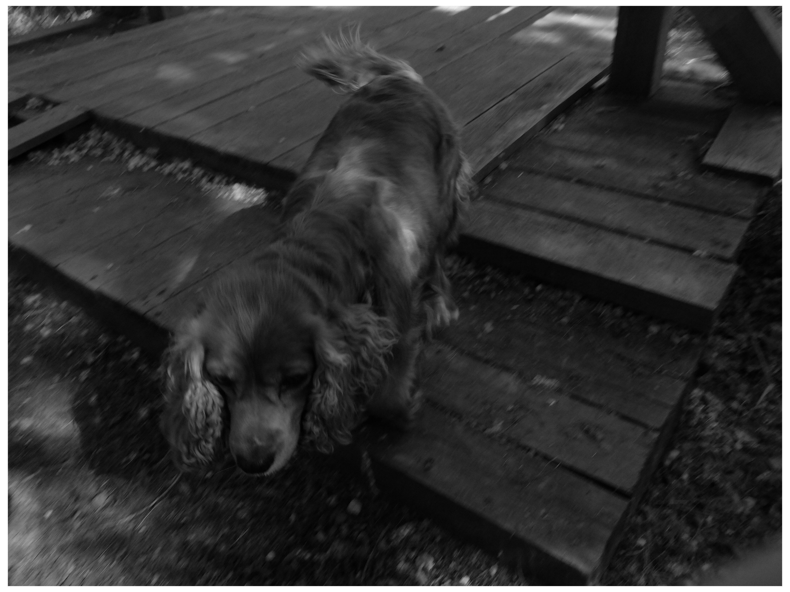 Промежуточные моменты (2022)