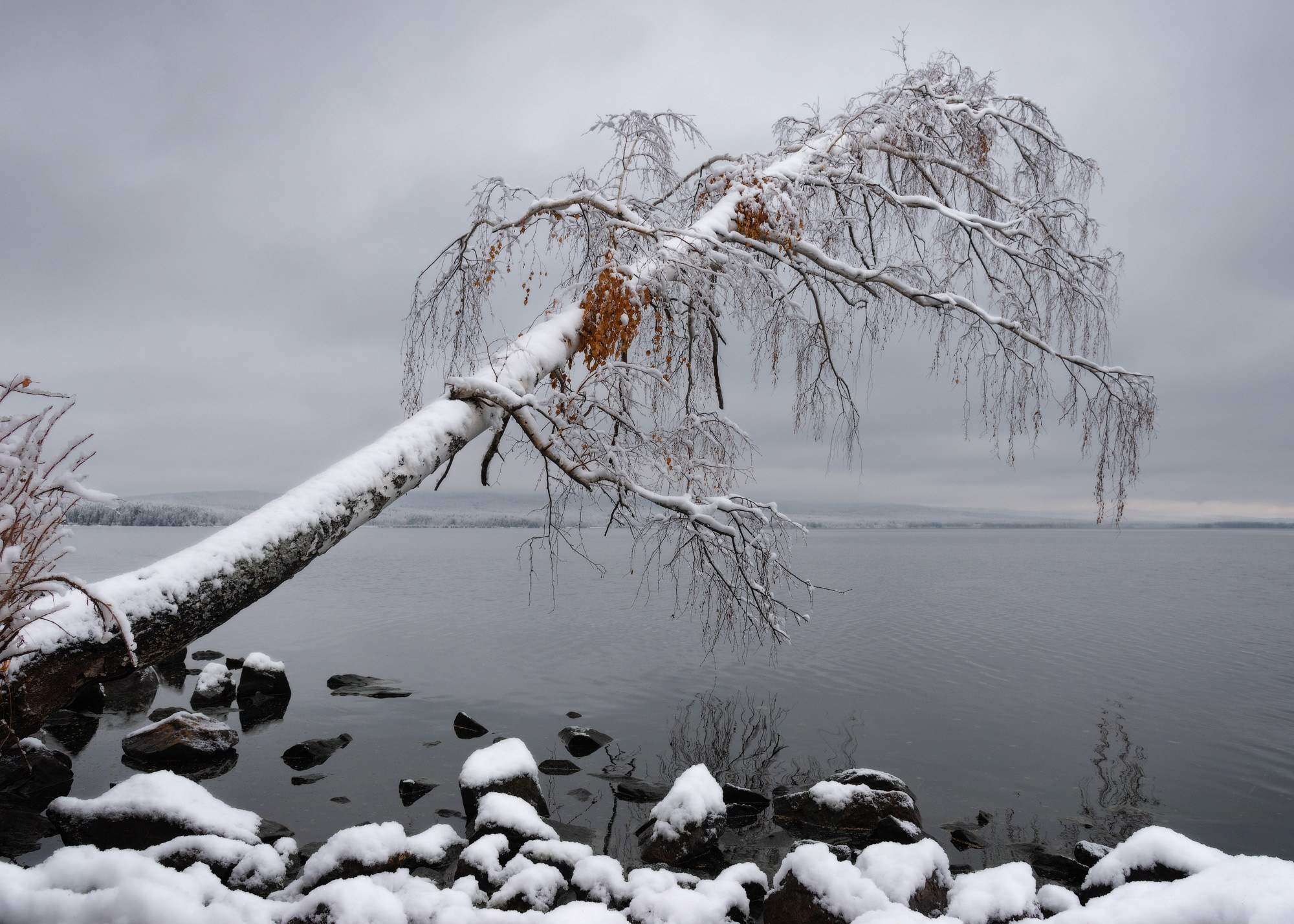 Осенний пейзаж с первым снегом на берегу пруда.