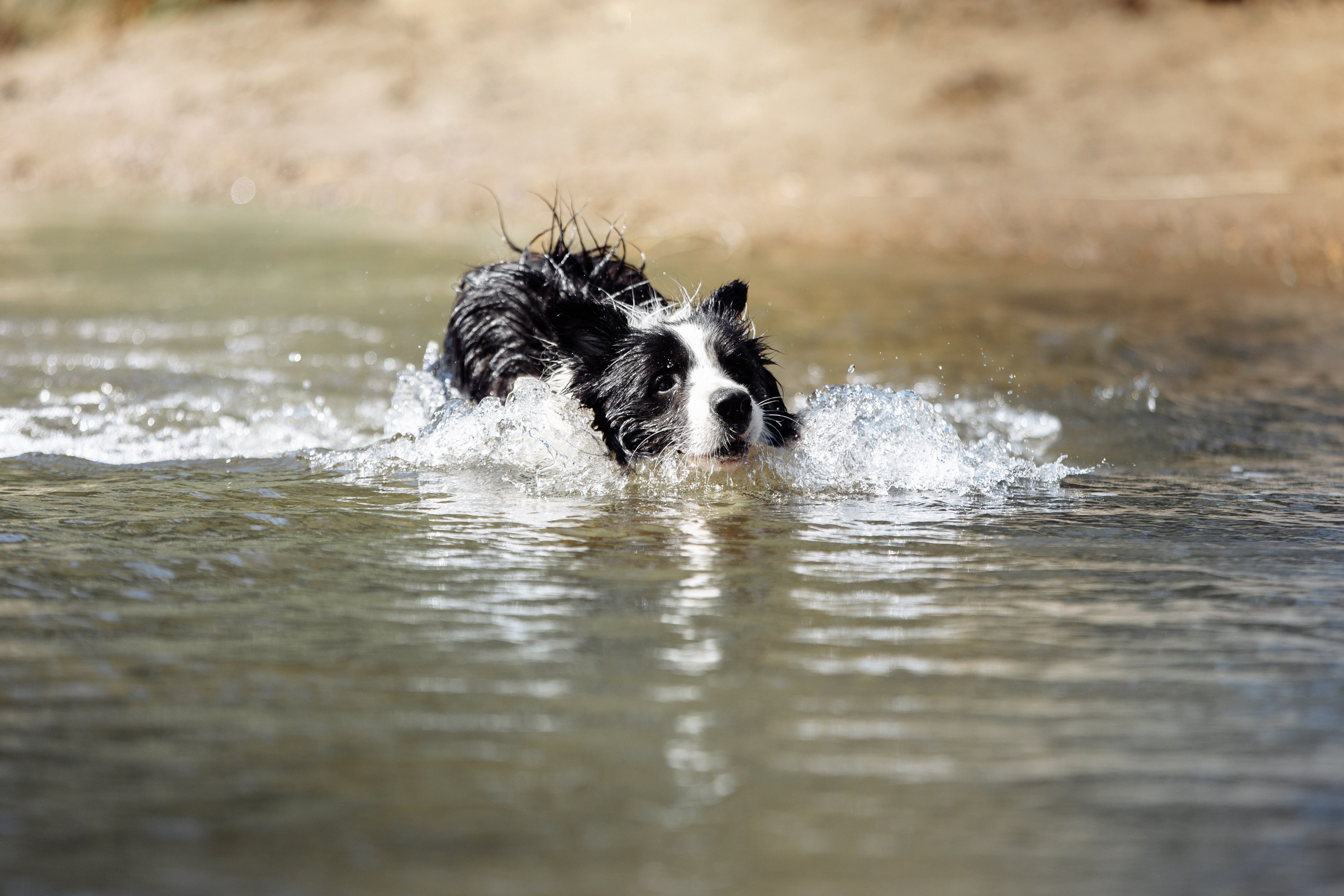 Водяные в Новотроицке. О нас