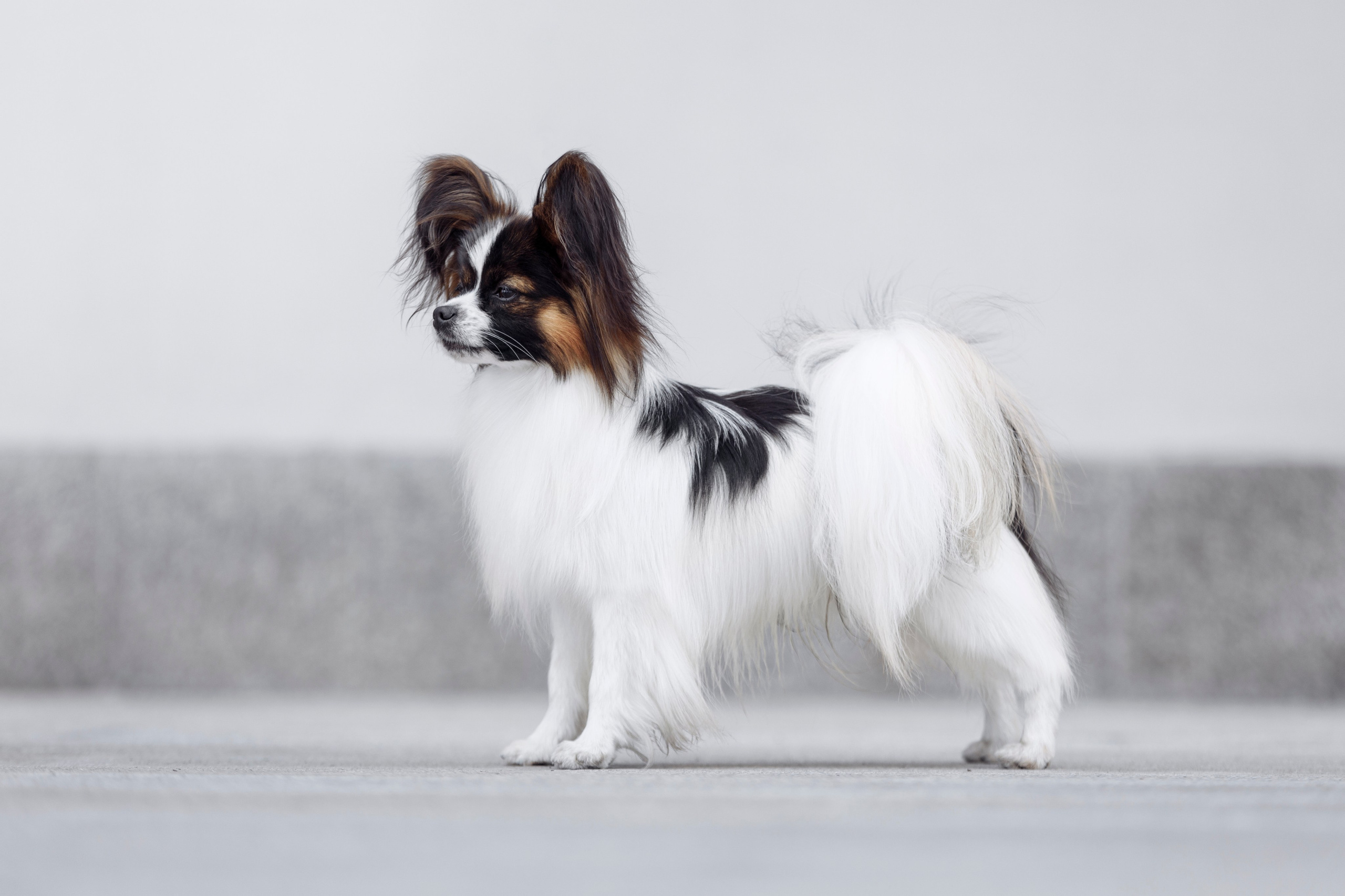 Магнитка 22. О нас